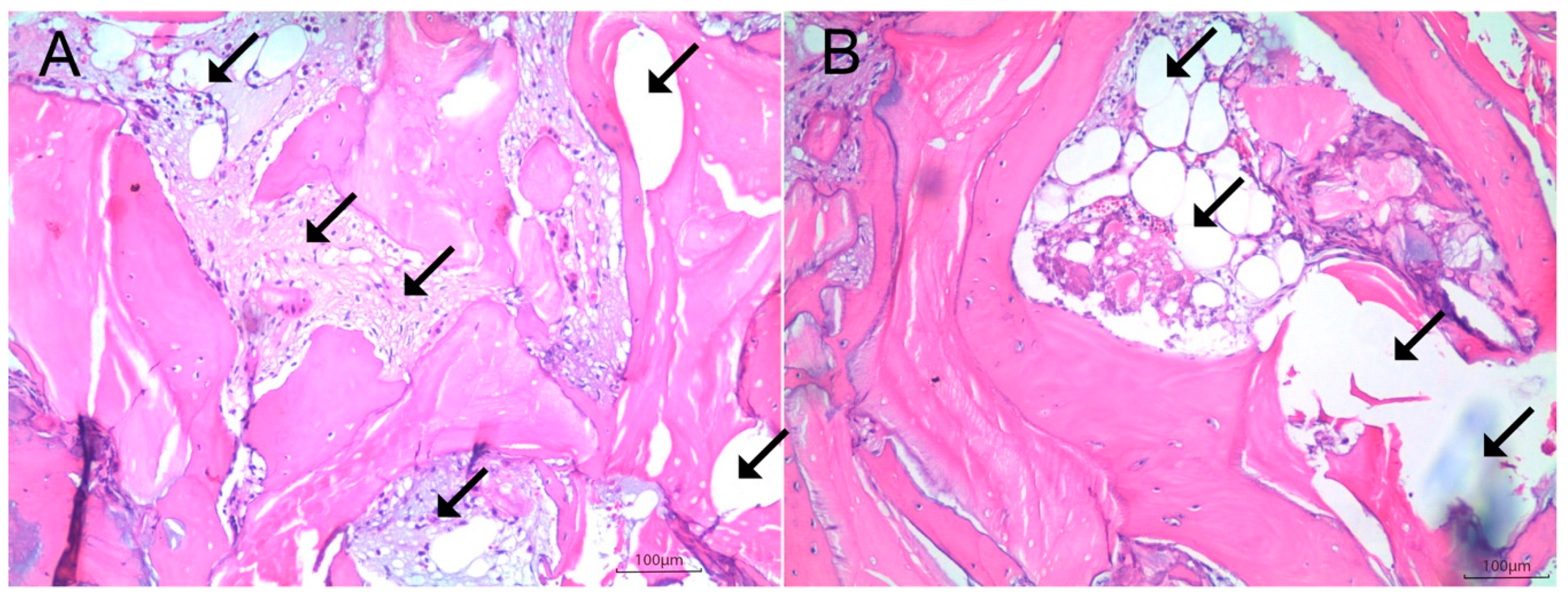 Symmetry 11 01293 g005