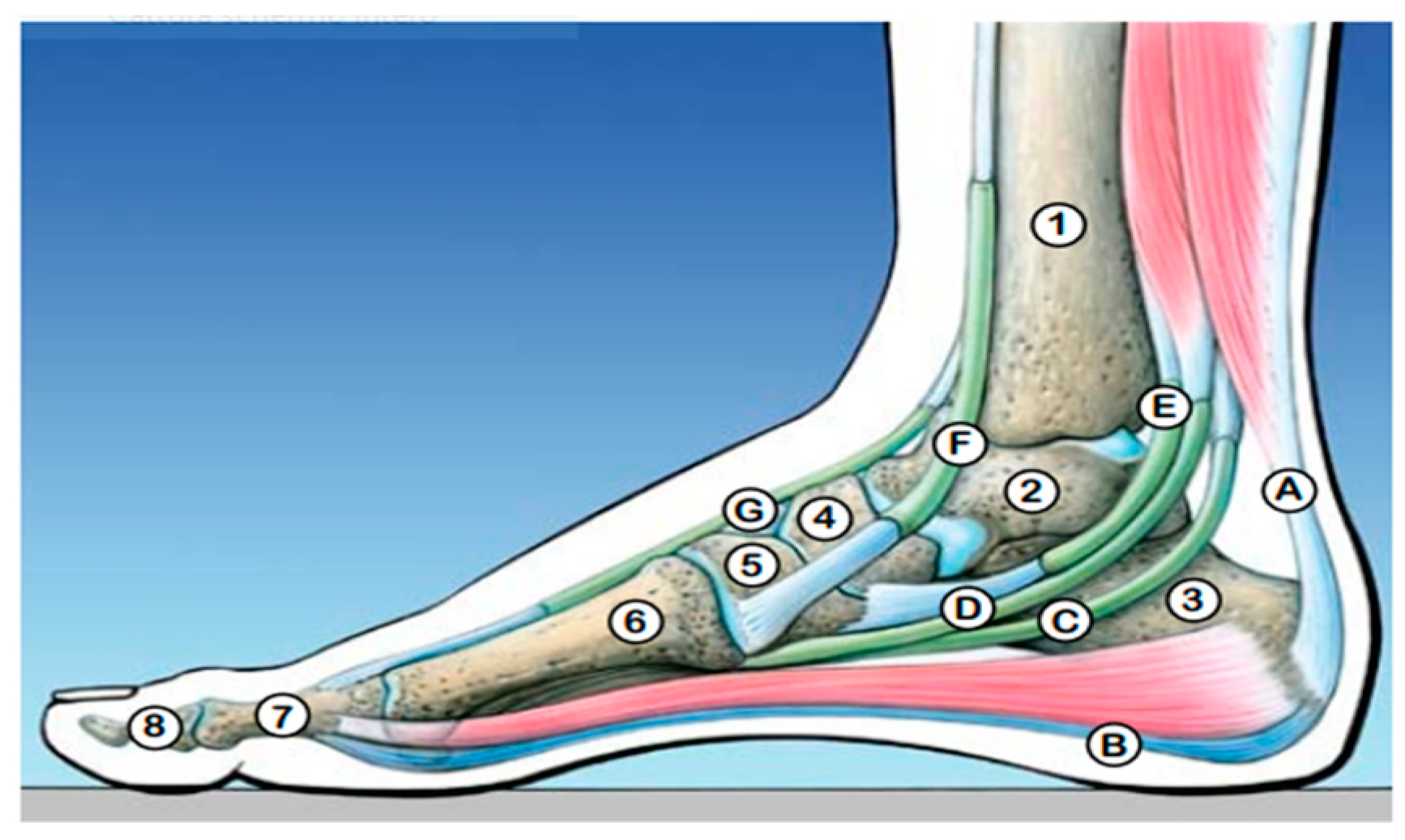 Symmetry 11 01317 g001 550