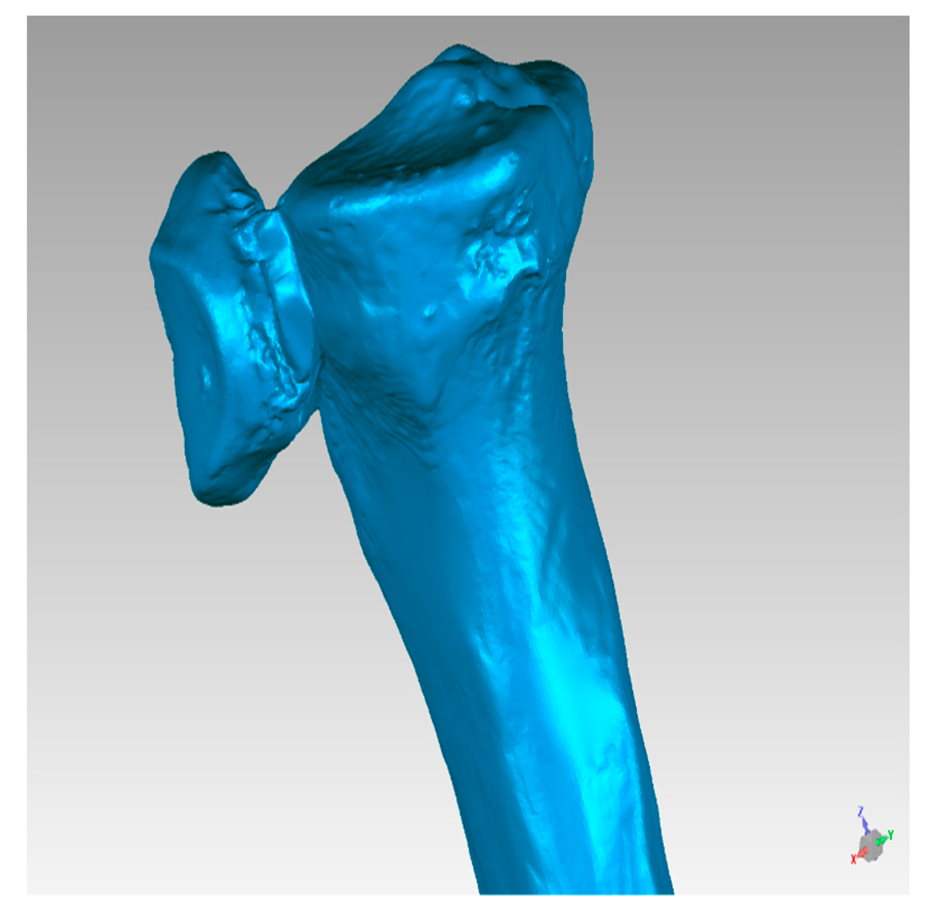 Symmetry 11 01317 g015 550