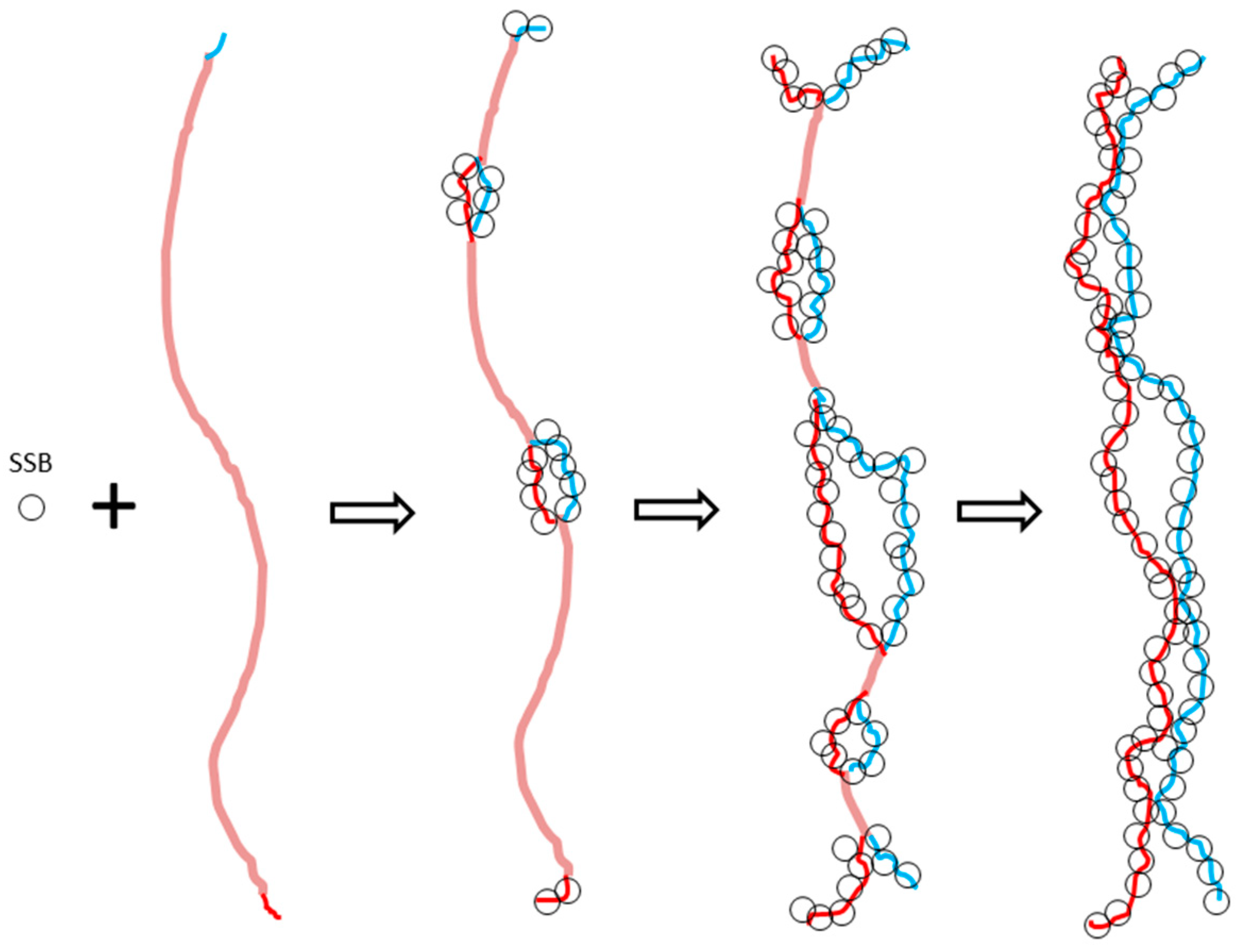 Symmetry 11 01445 g006