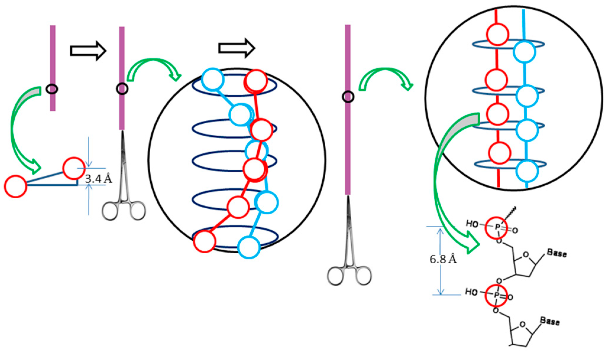 Symmetry 11 01445 g007