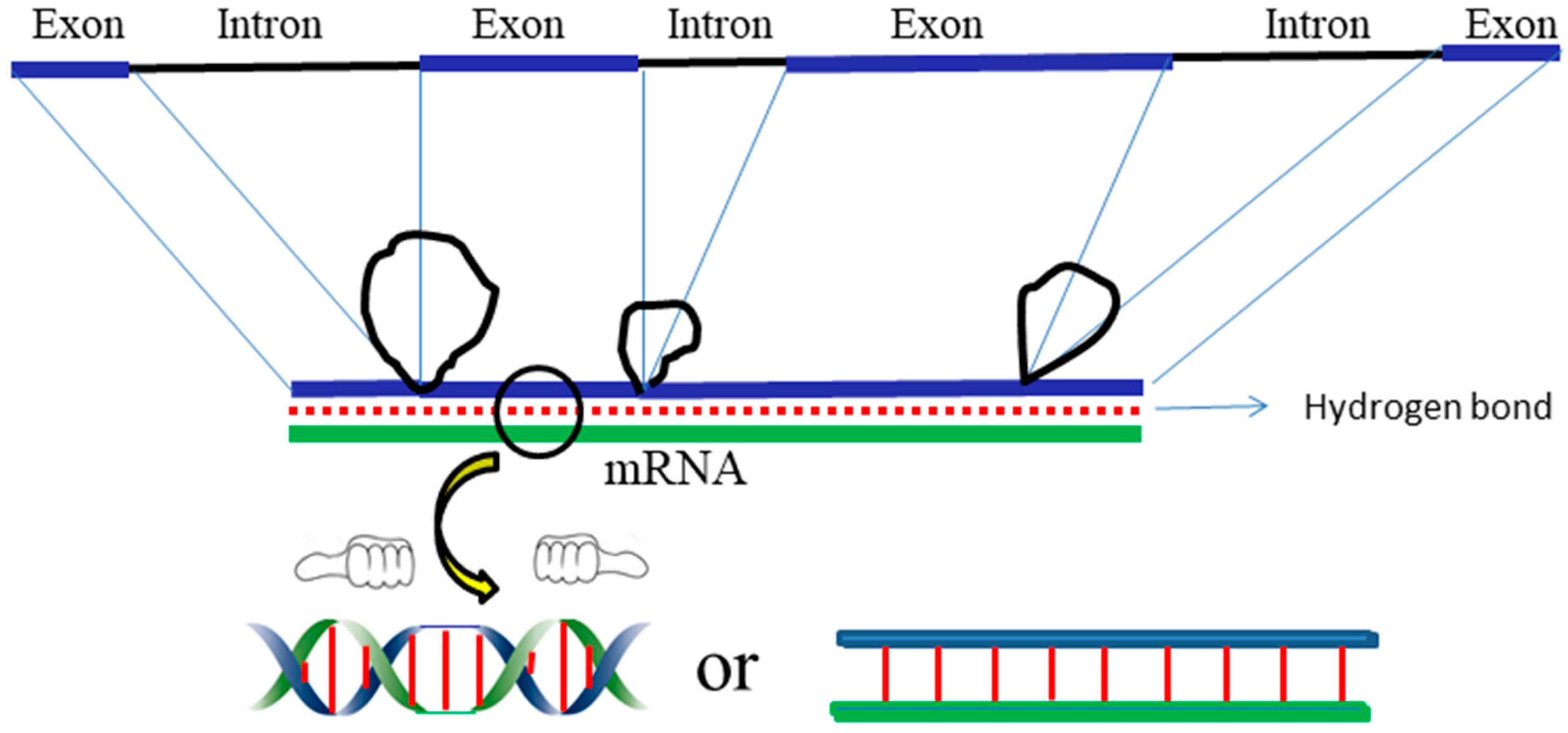 Symmetry 11 01445 g009
