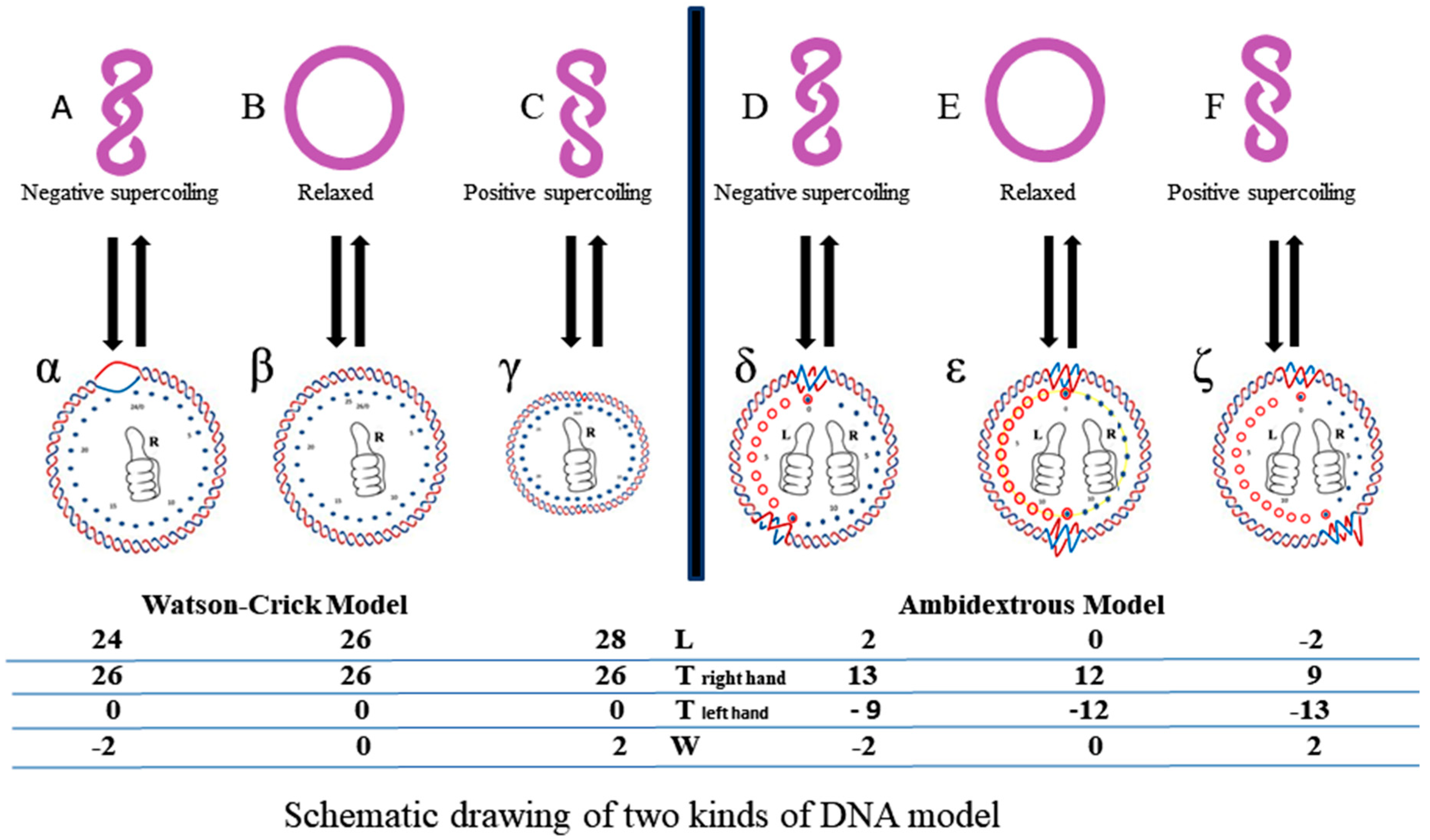 Symmetry 11 01445 g010
