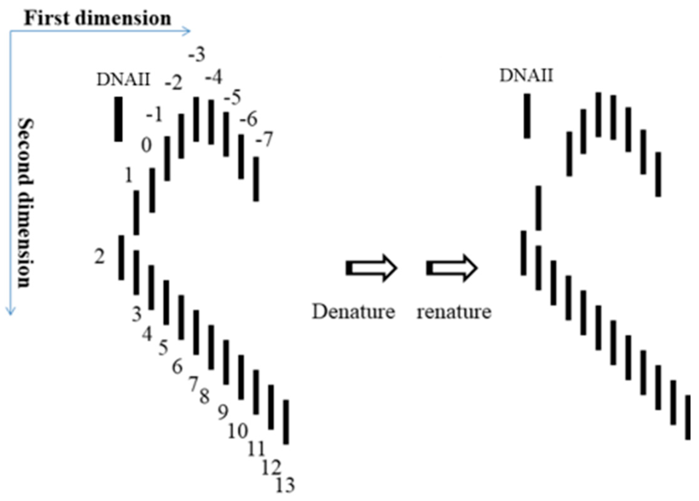 Symmetry 11 01445 g011