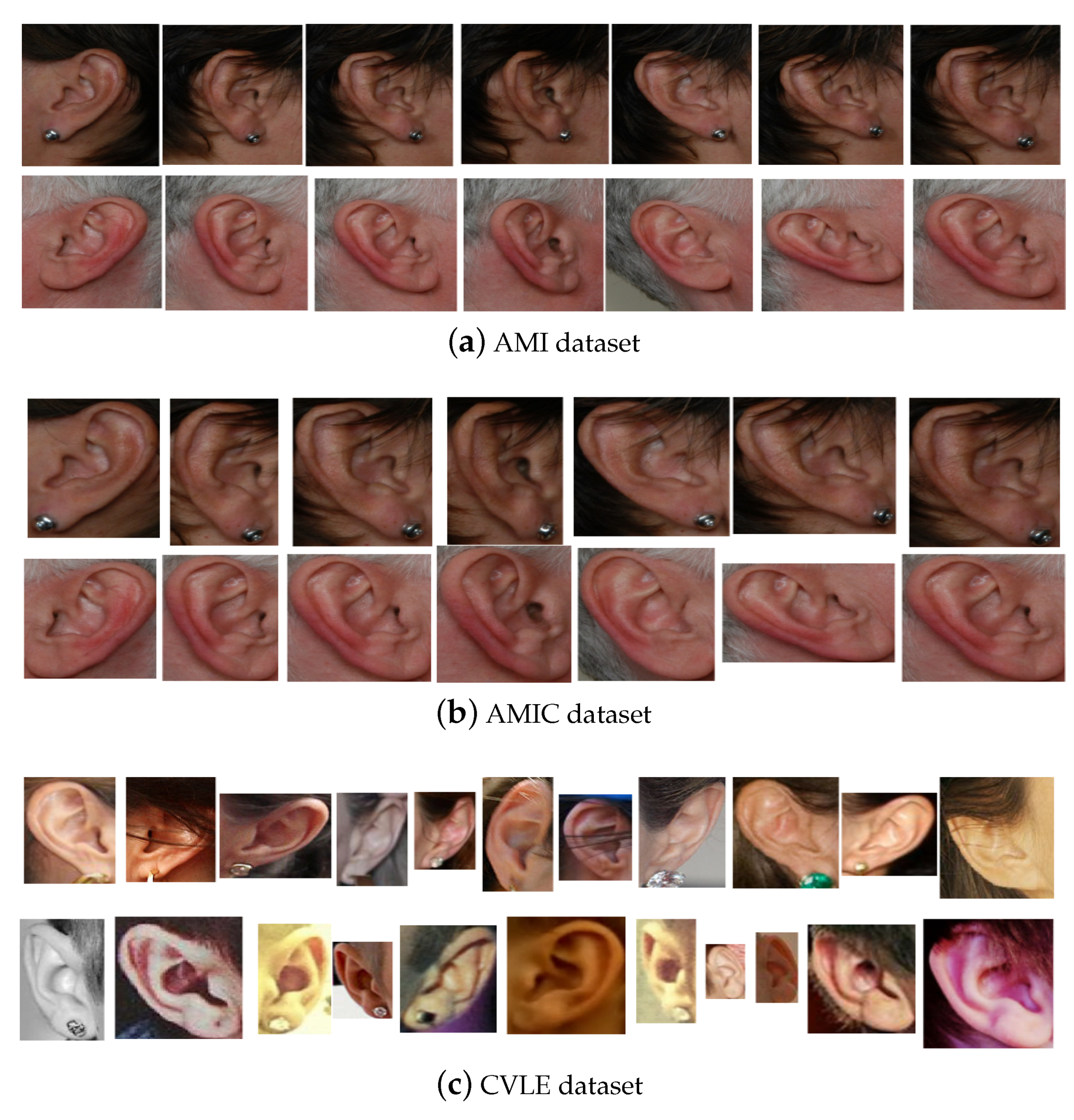 Symmetry 11 01493 g003