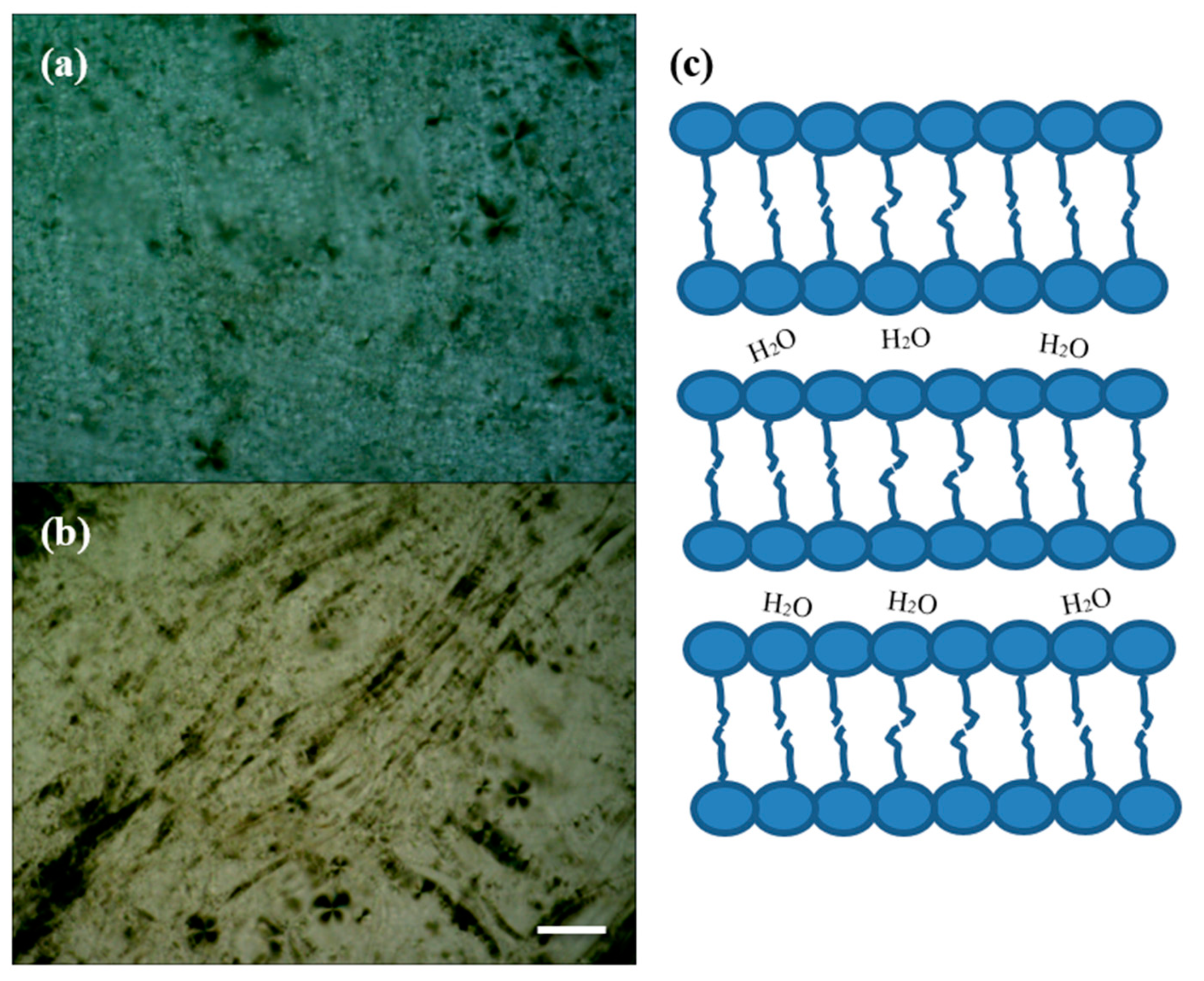 Symmetry 12 00031 g001 Symmetry 12 00031 g001