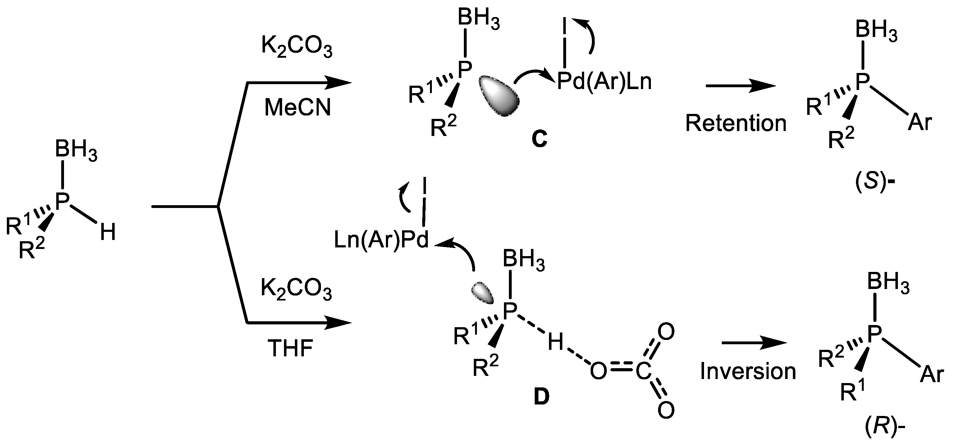 Symmetry 12 00108 sch005 Symmetry 12 00108 sch005
