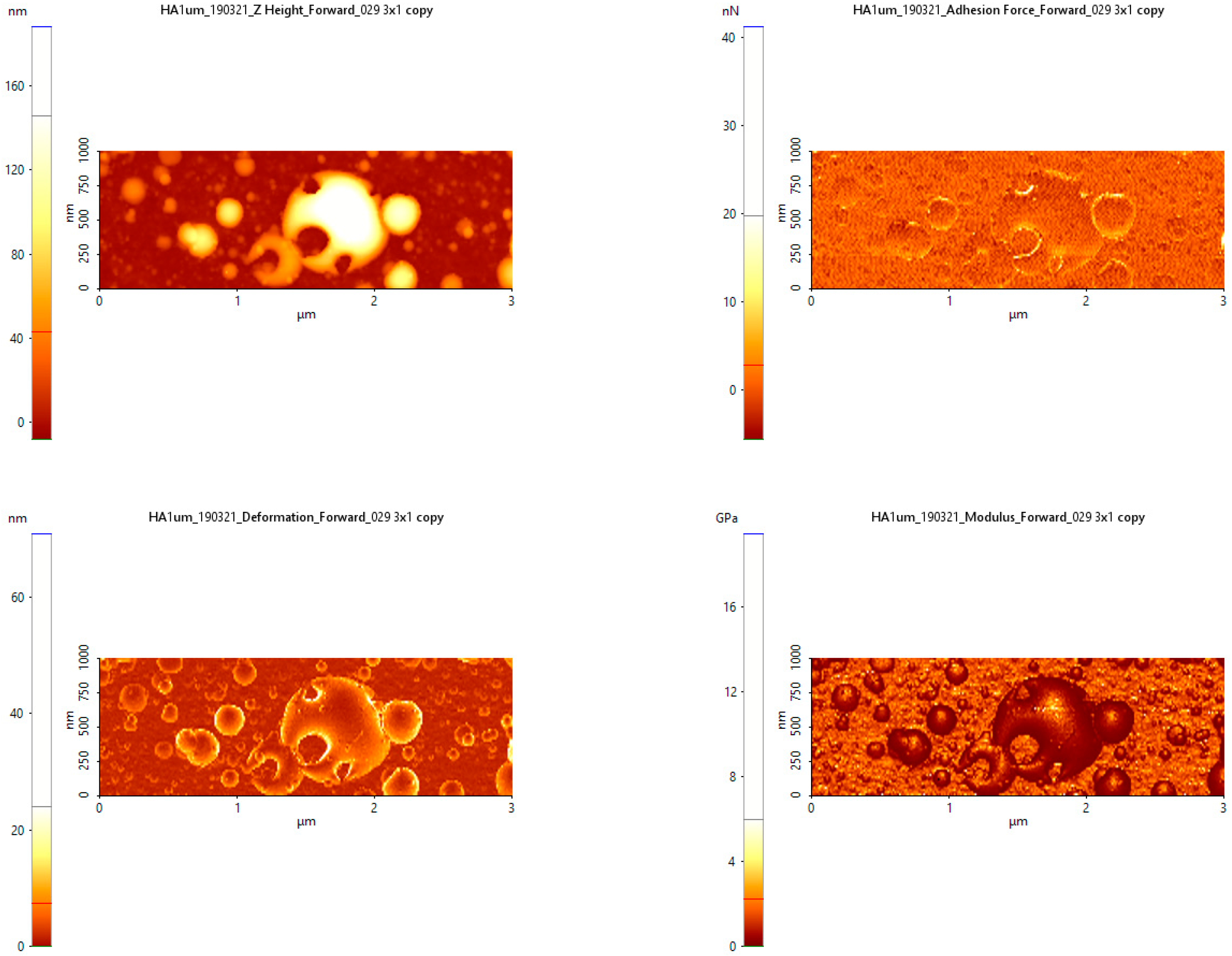 Symmetry 12 00132 g010