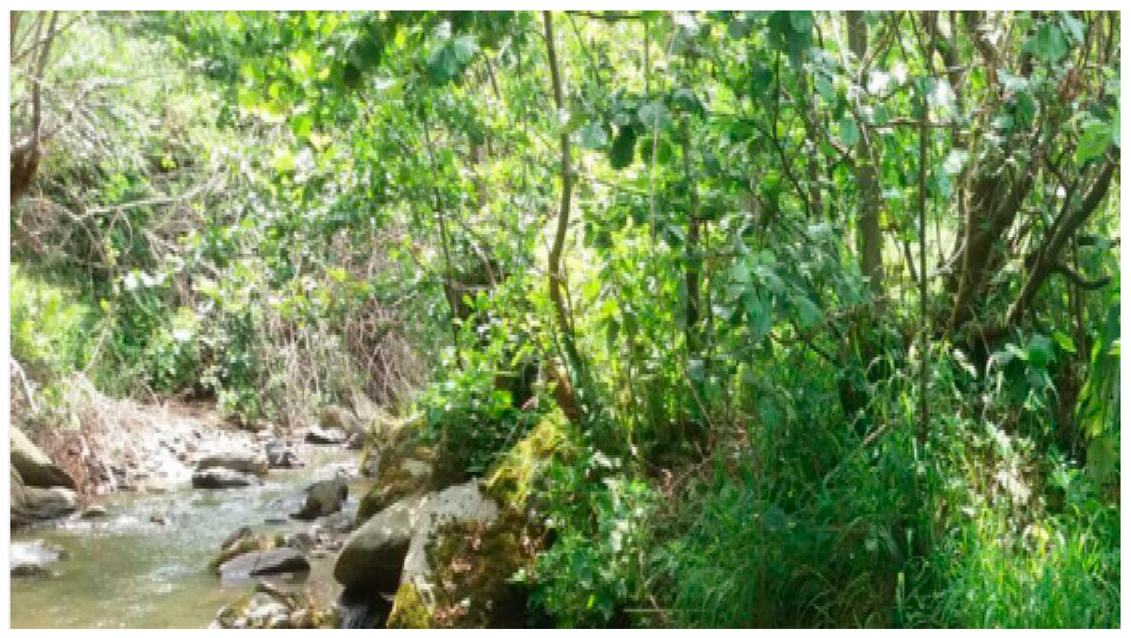 Symmetry 12 00134 g002