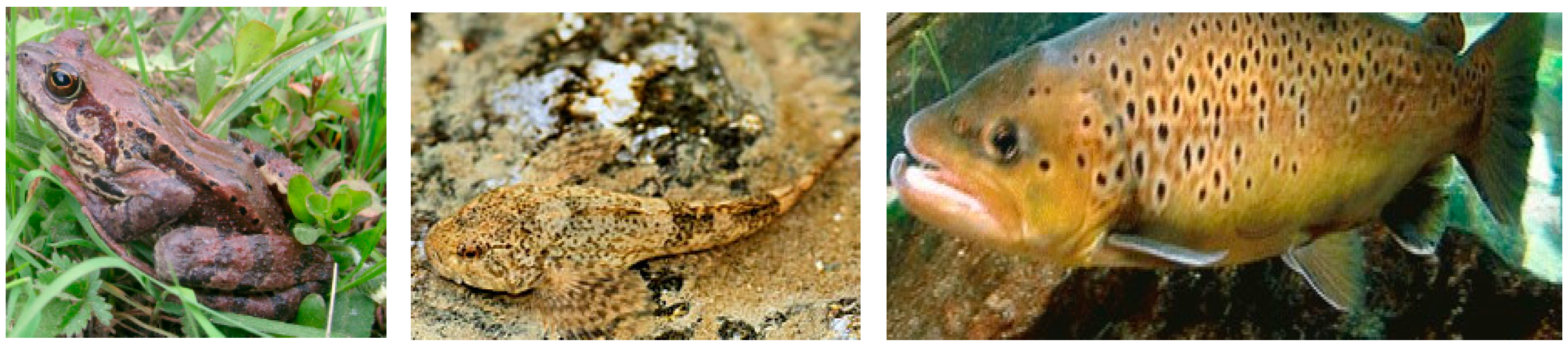 Symmetry 12 00134 g003