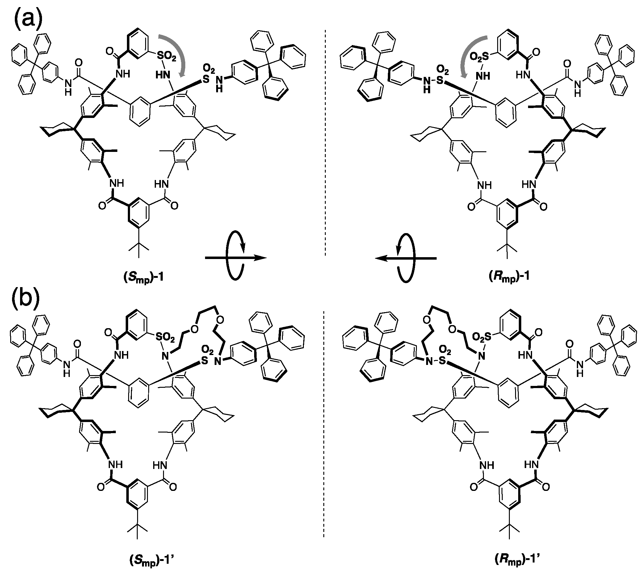 Symmetry 12 00144 g003