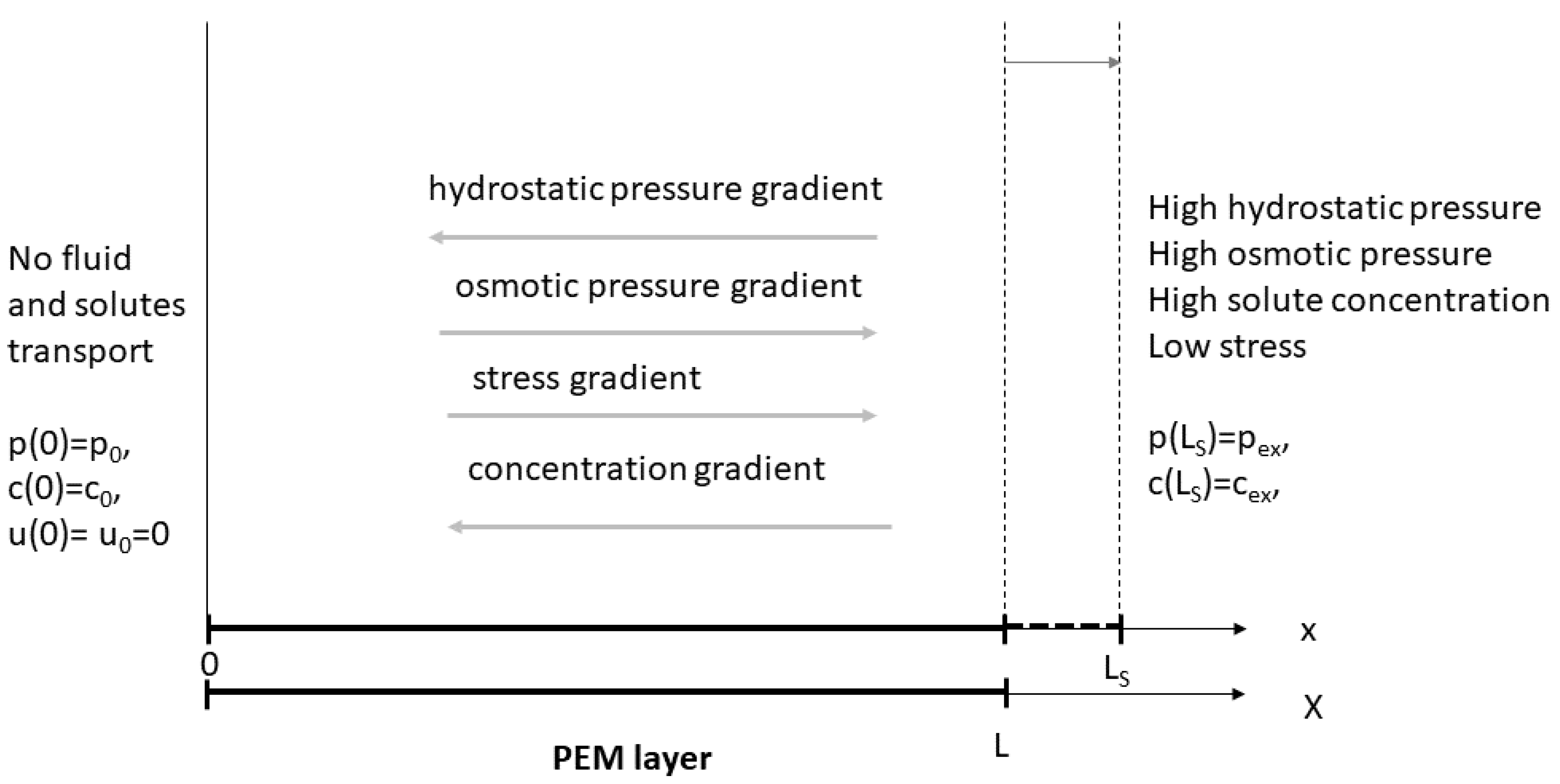 Symmetry 12 00396 g001