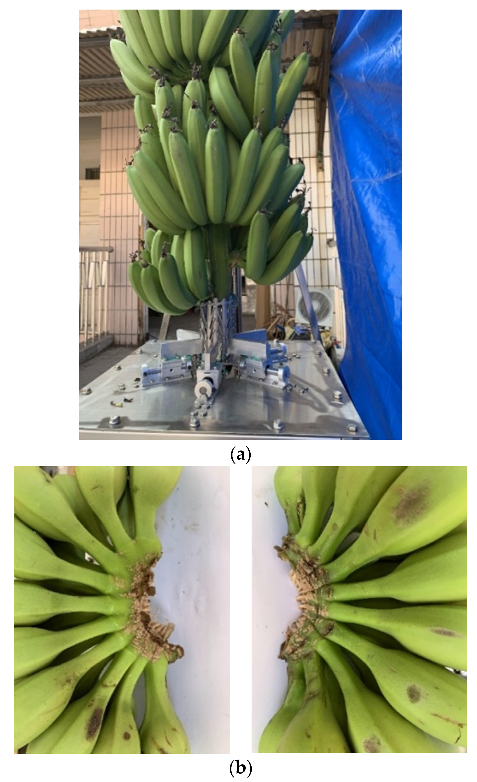 Symmetry 12 00415 g022