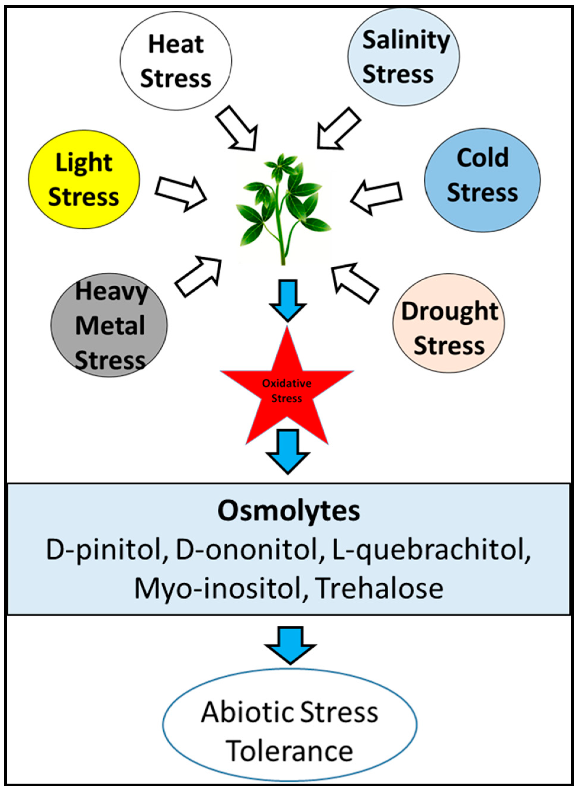 Symmetry 12 00470 g001 Symmetry 12 00470 g001