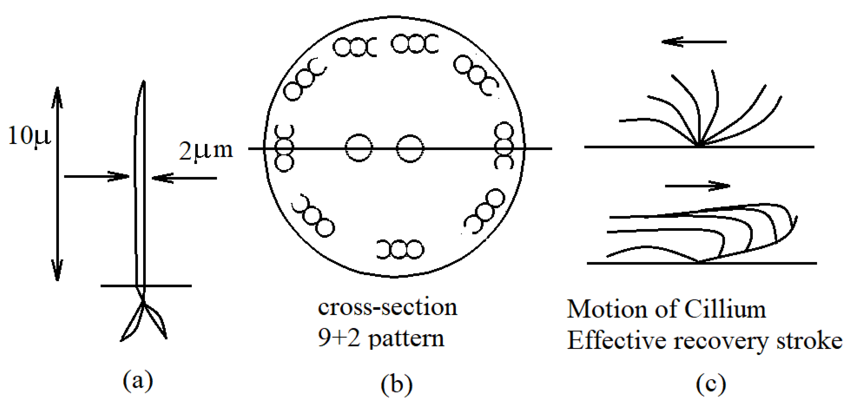 Symmetry 12 00532 g001 Symmetry 12 00532 g001