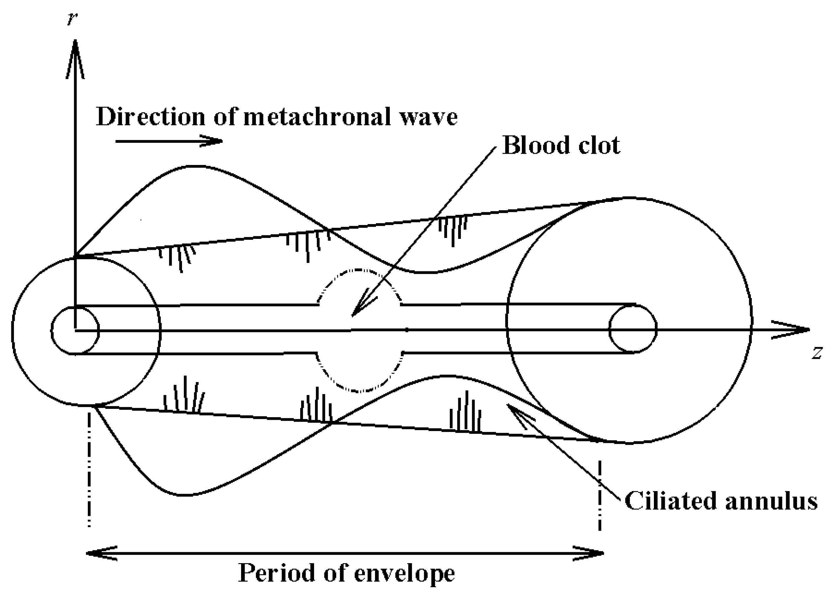 Symmetry 12 00532 g002 Symmetry 12 00532 g002