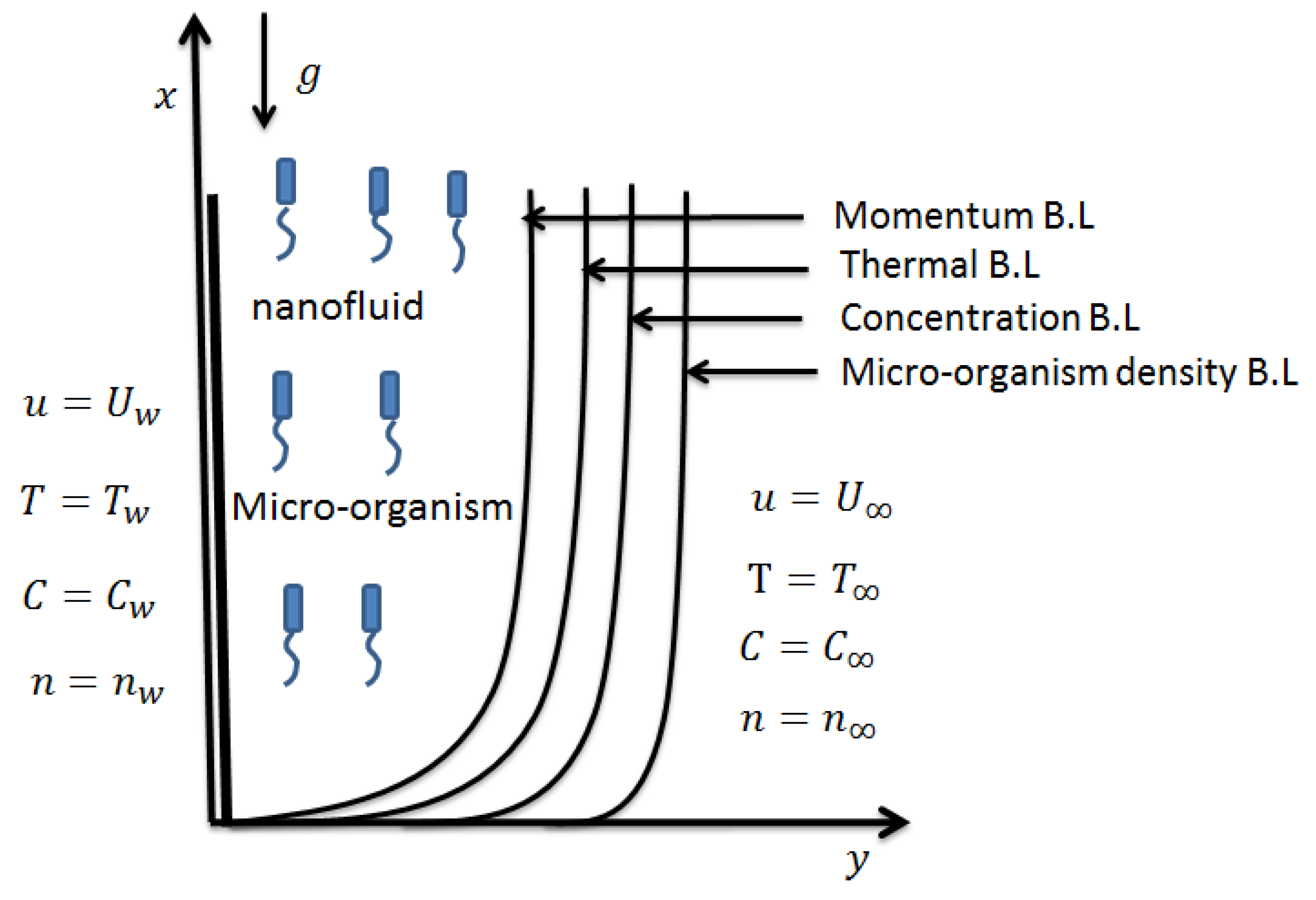 Symmetry Free Full Text Second Grade Bioconvective Nanofluid Flow With Buoyancy Effect And Chemical Reaction Html Symmetry Free Full Text Second Grade Bioconvective Nanofluid Flow With Buoyancy Effect And Chemical Reaction Html