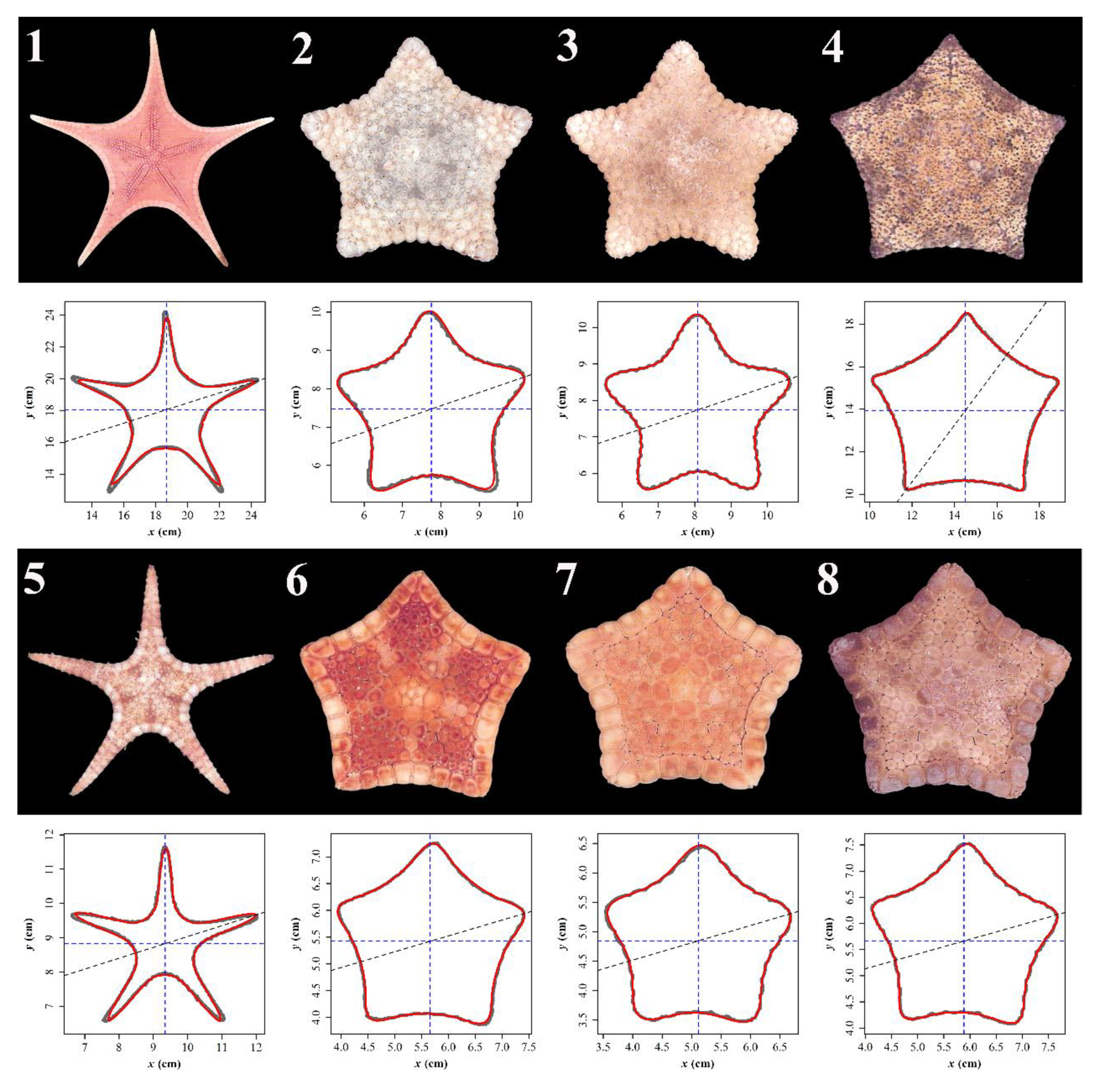 Symmetry 12 00645 g002 Symmetry 12 00645 g002