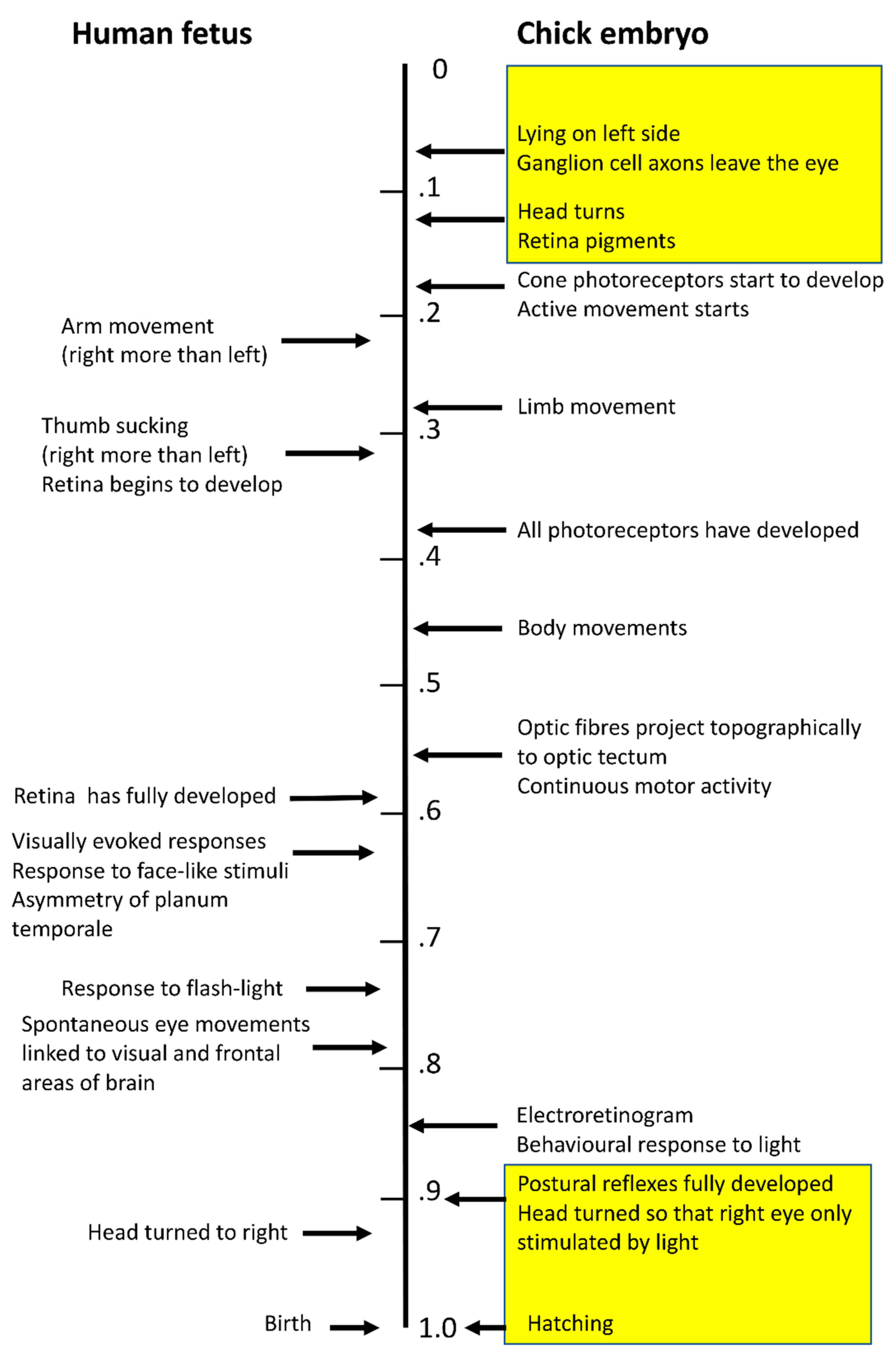 Symmetry 12 00690 g001 Symmetry 12 00690 g001