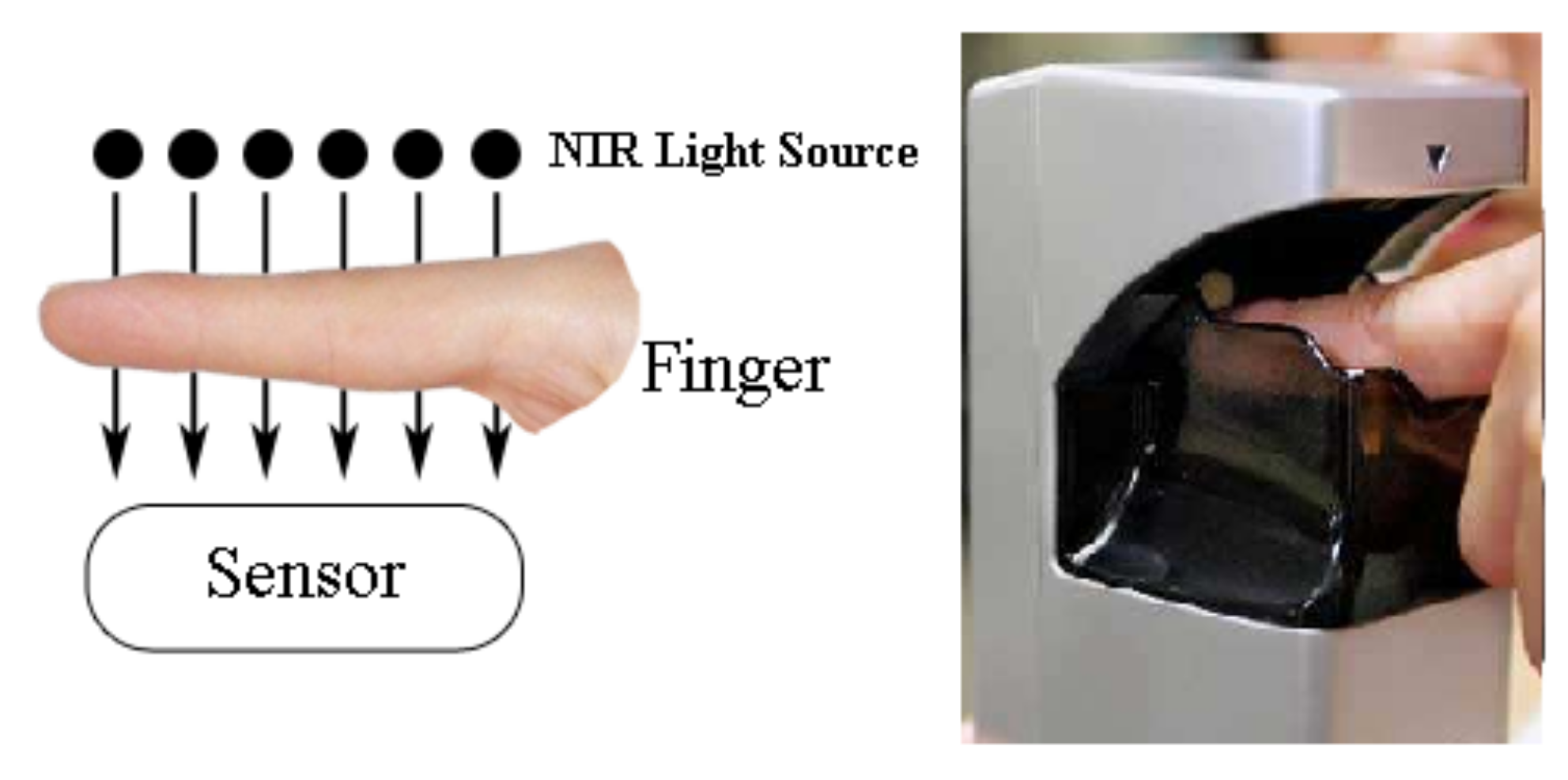 Symmetry 12 00709 g001