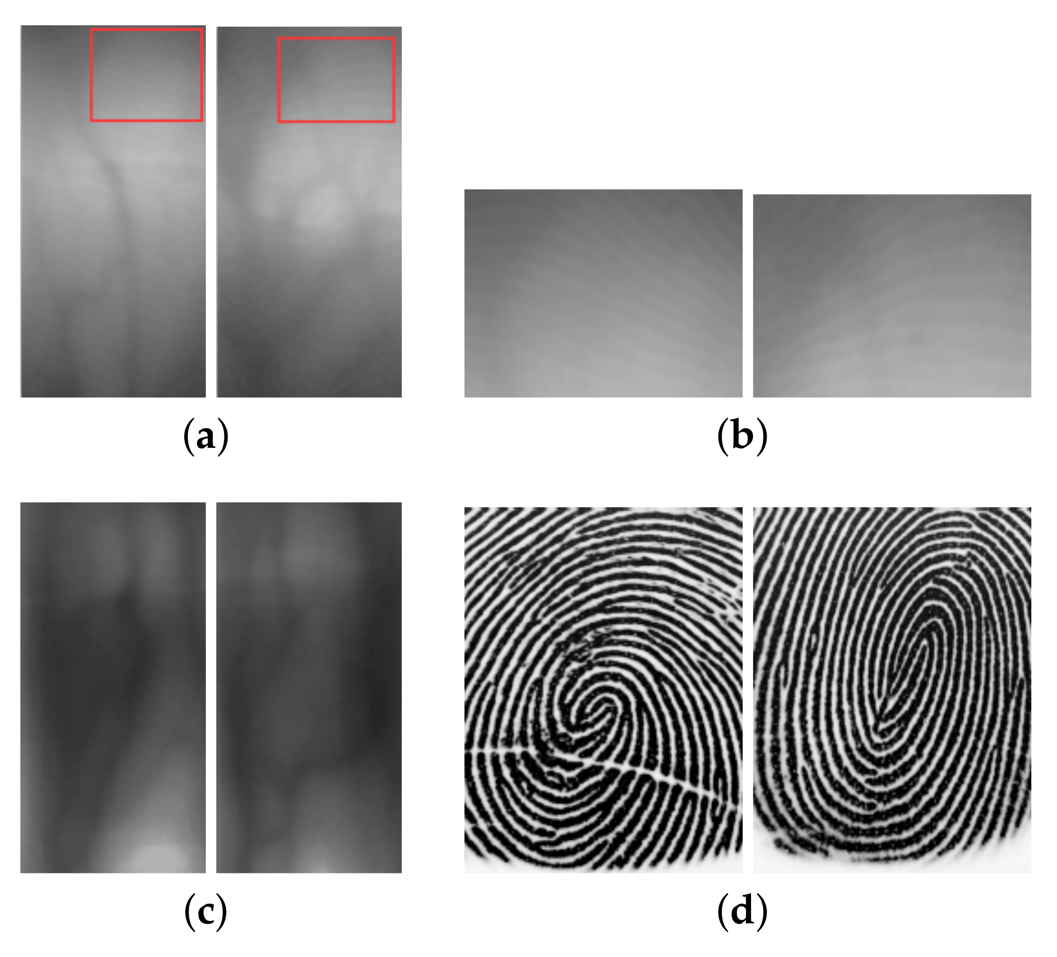Symmetry 12 00709 g003