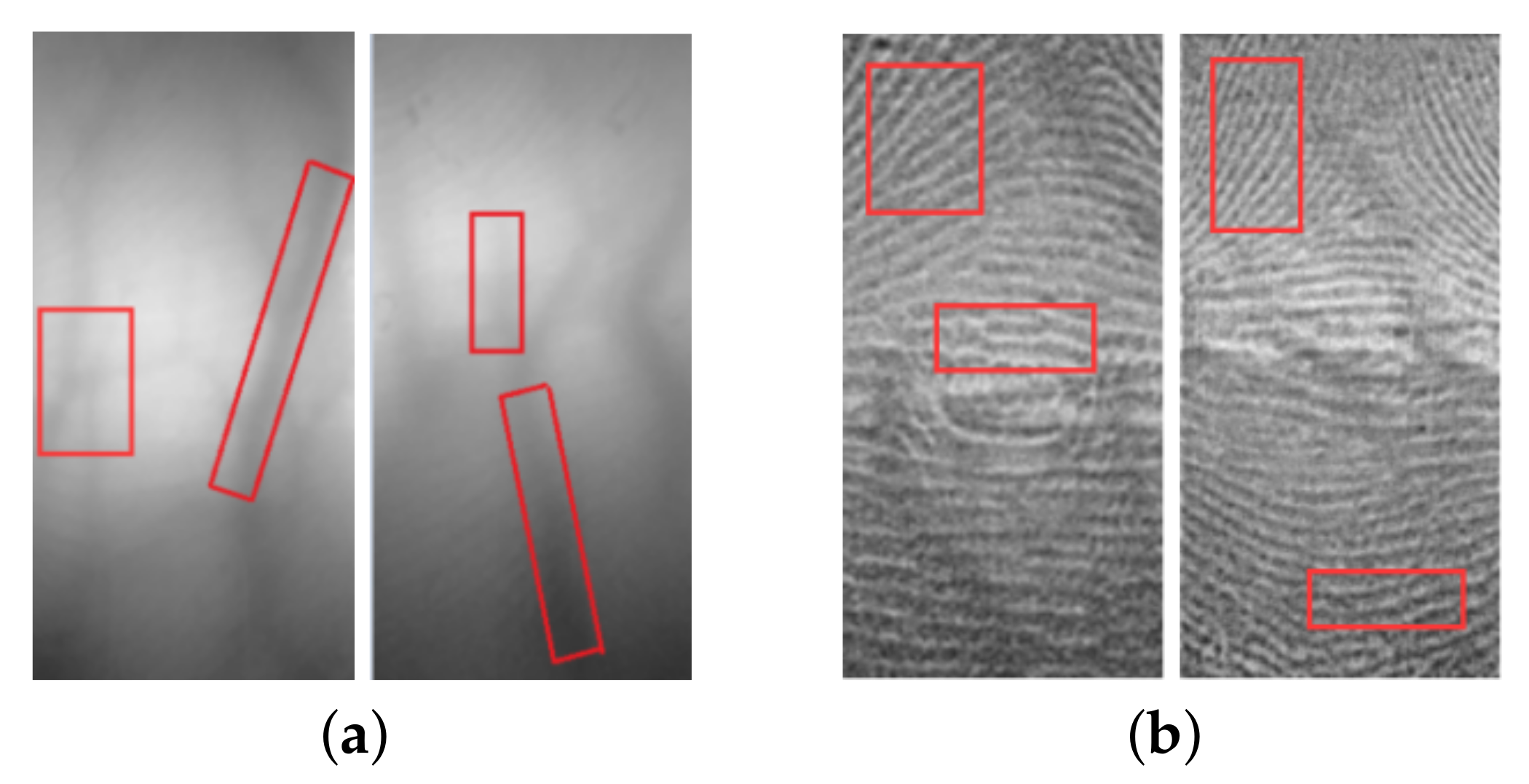 Symmetry 12 00709 g007