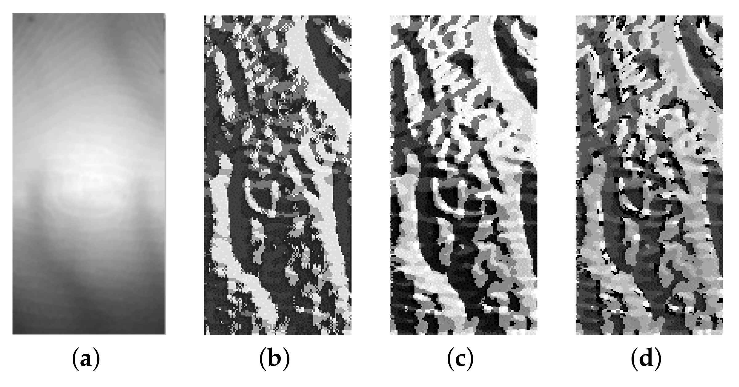 Symmetry 12 00709 g009