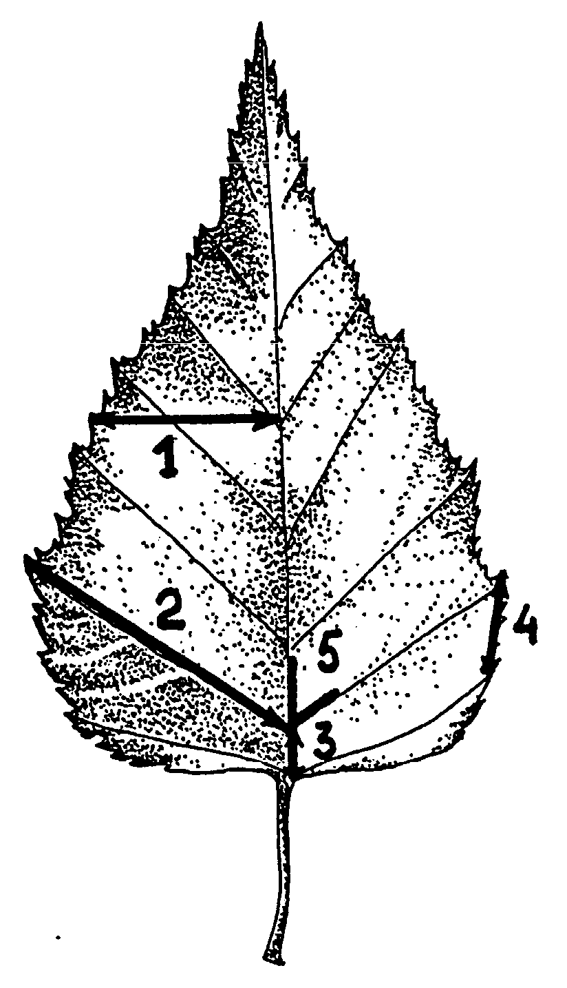 Symmetry 12 00727 g002