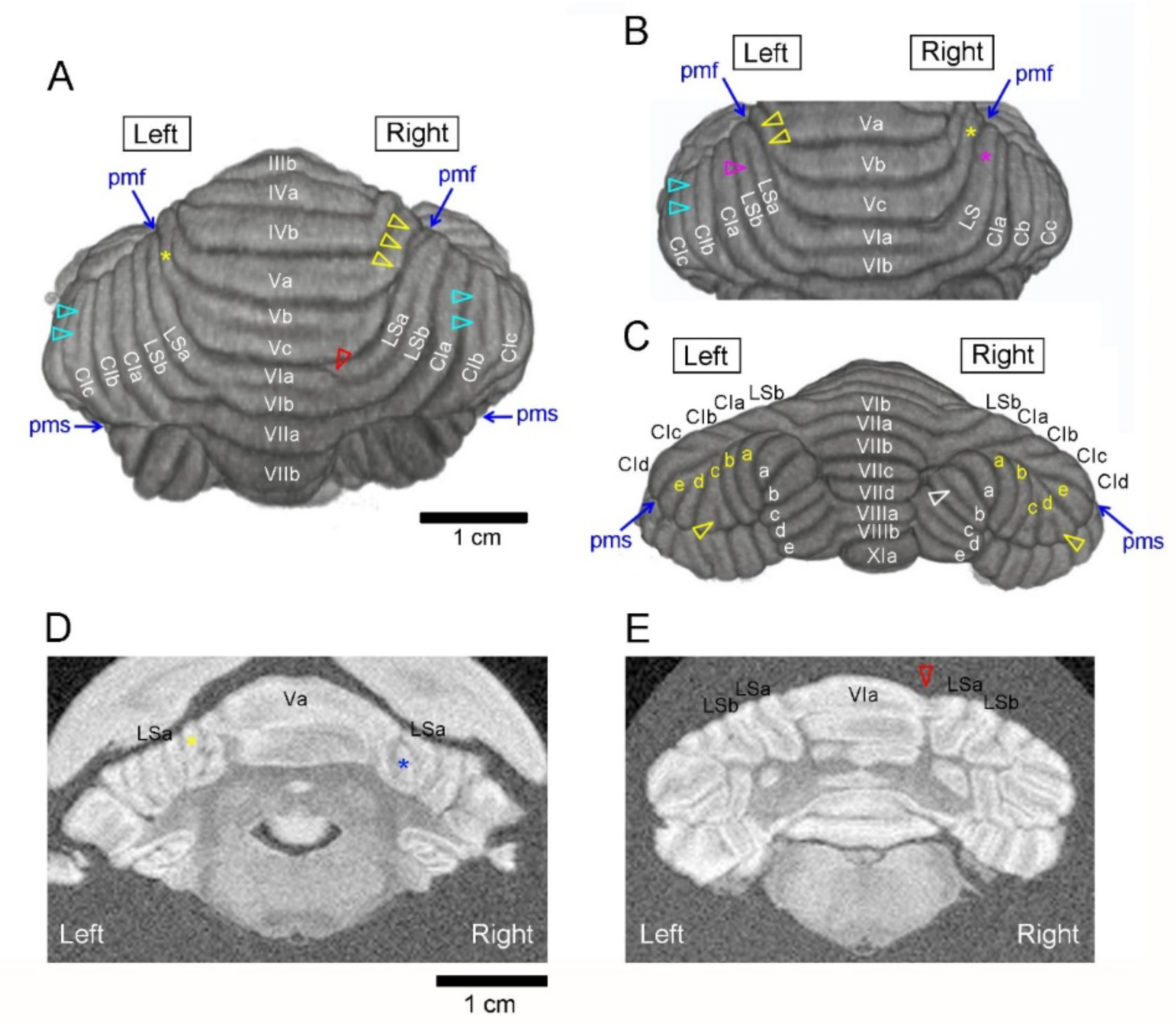 Symmetry 12 00735 g001 Symmetry 12 00735 g001
