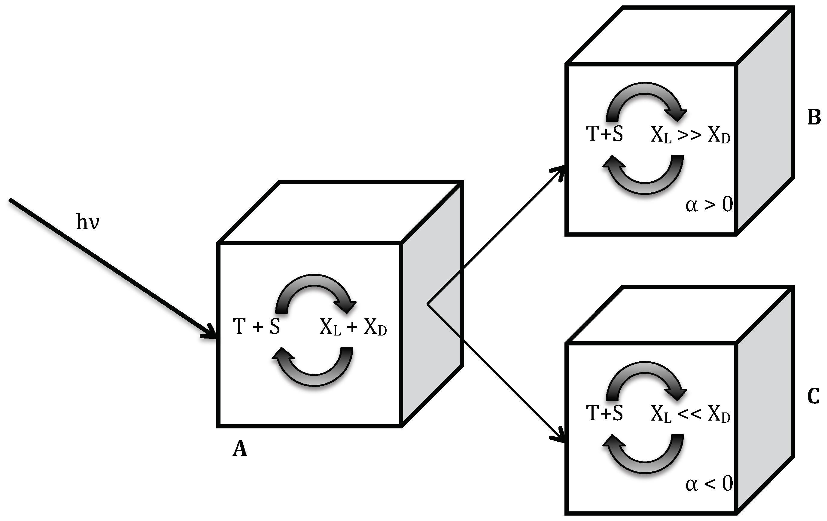 Symmetry 12 00769 g003