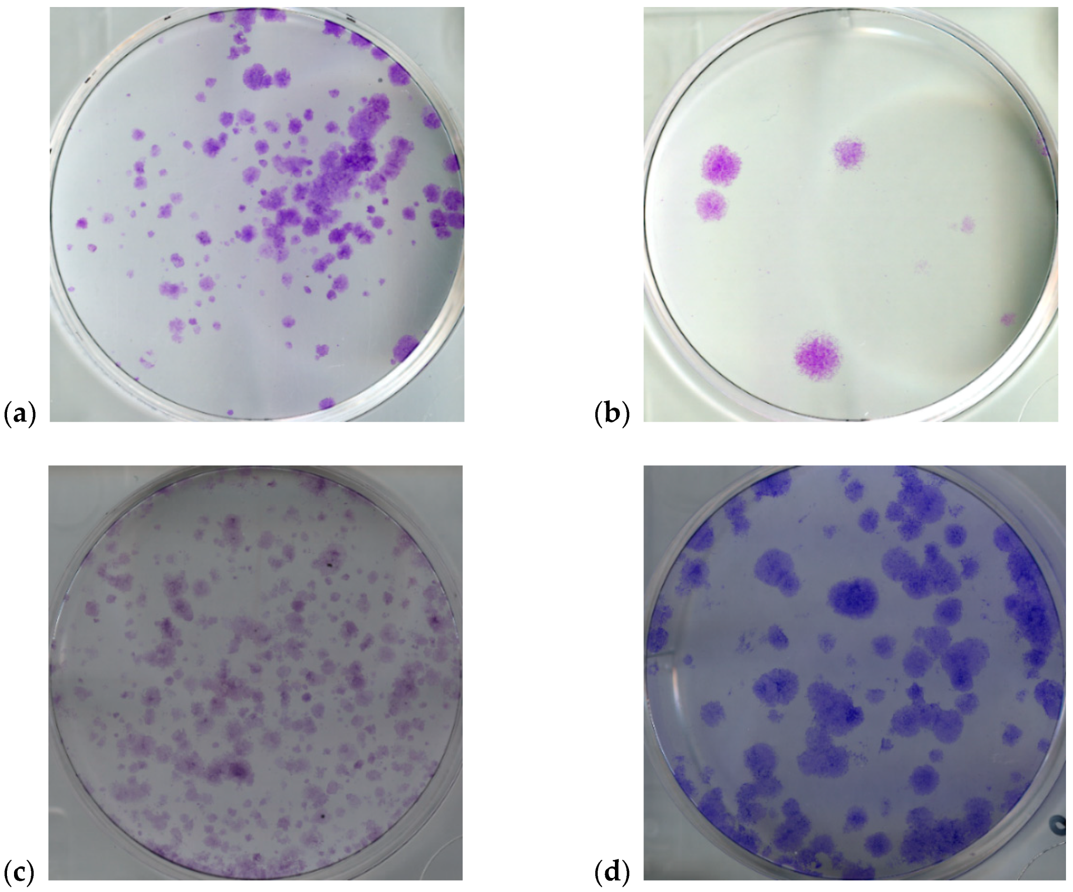 Symmetry 12 00773 g001 Symmetry 12 00773 g001