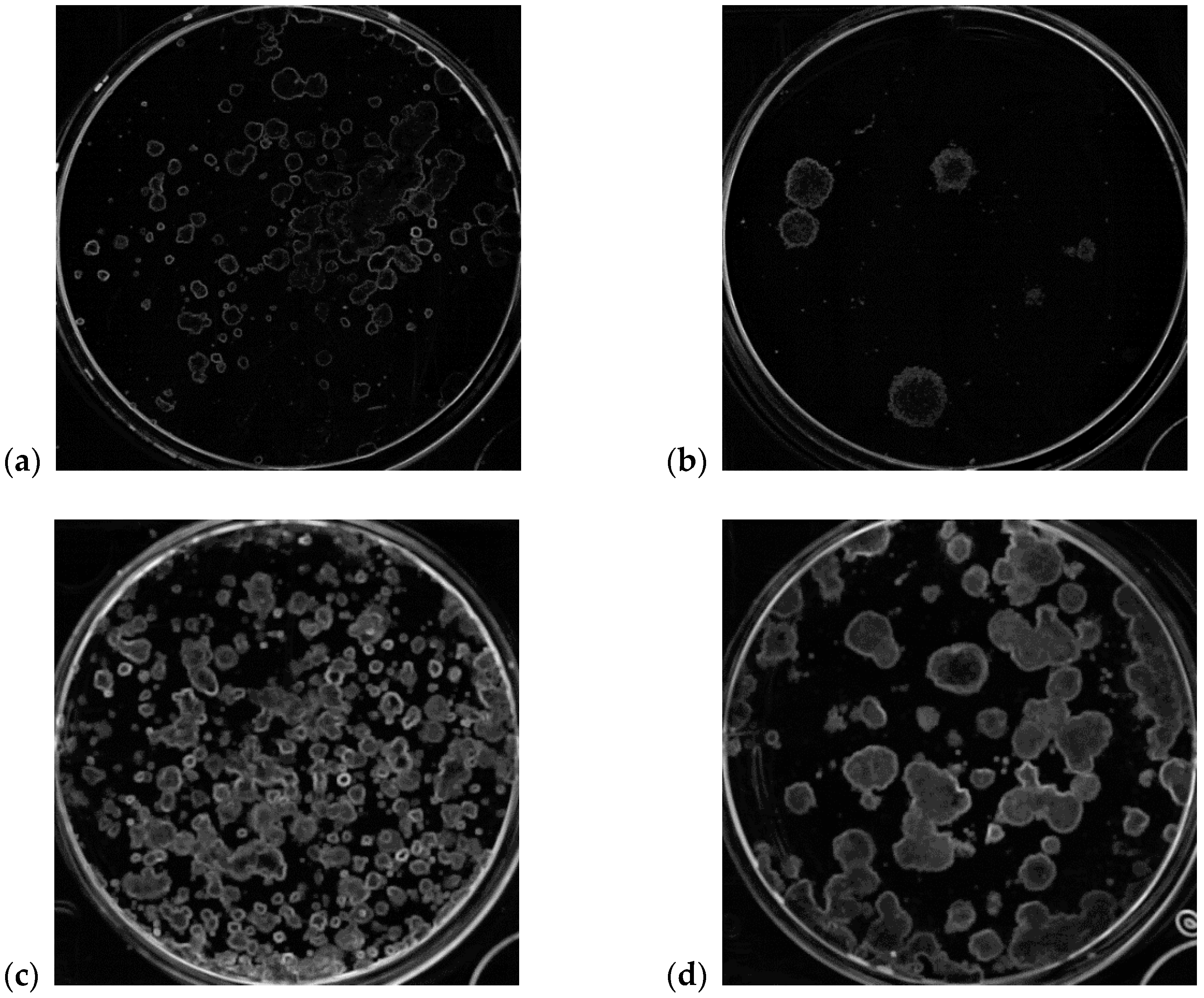 Symmetry 12 00773 g003 Symmetry 12 00773 g003