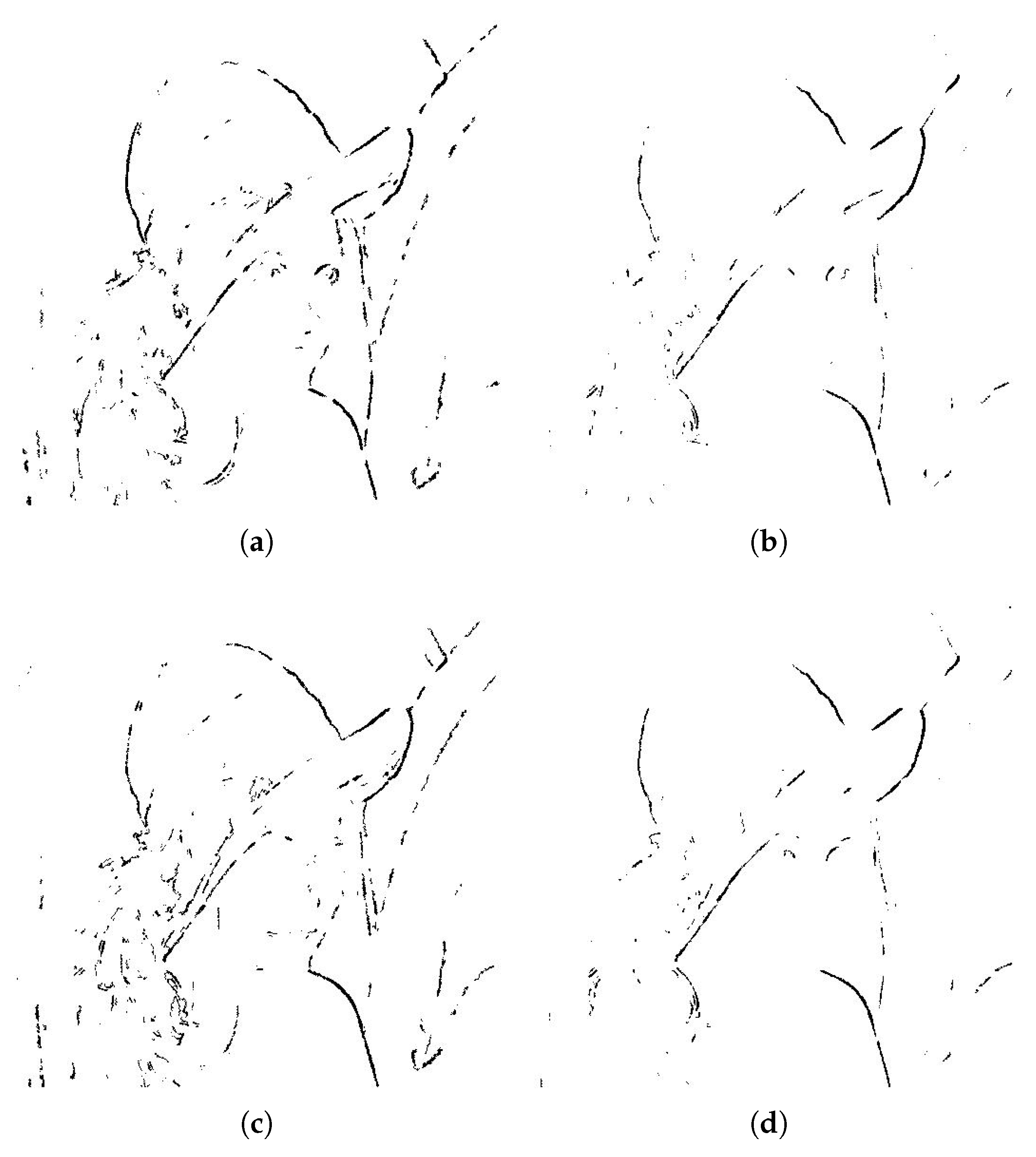 Symmetry 12 00781 g002