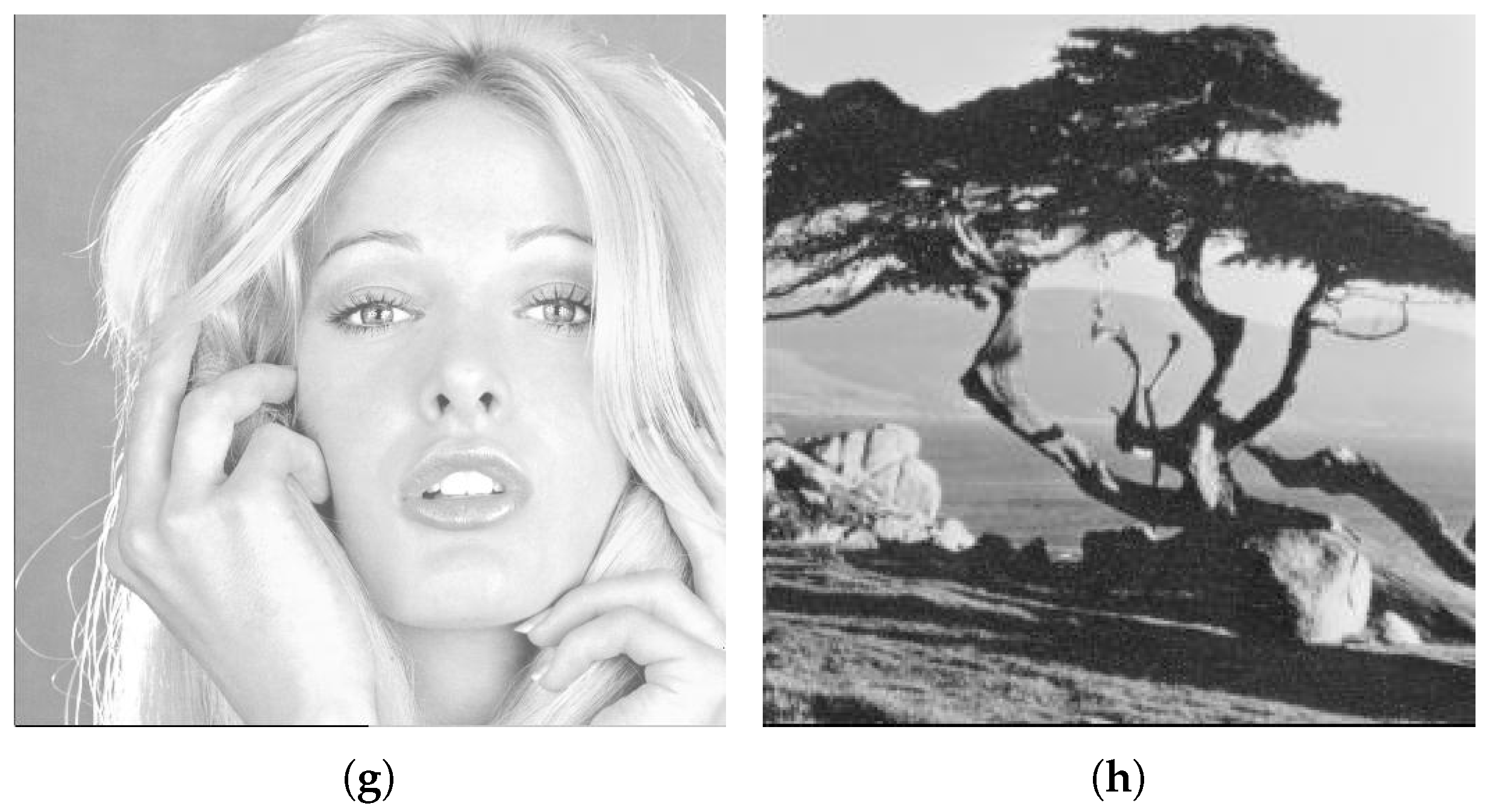 Symmetry 12 00781 g007b