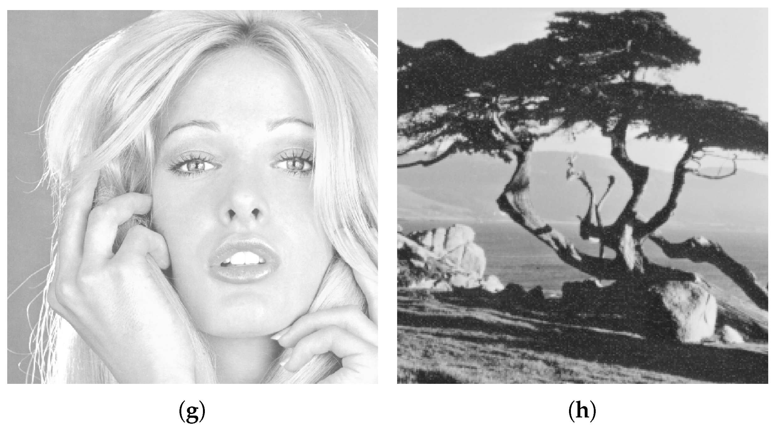 Symmetry 12 00781 g009b