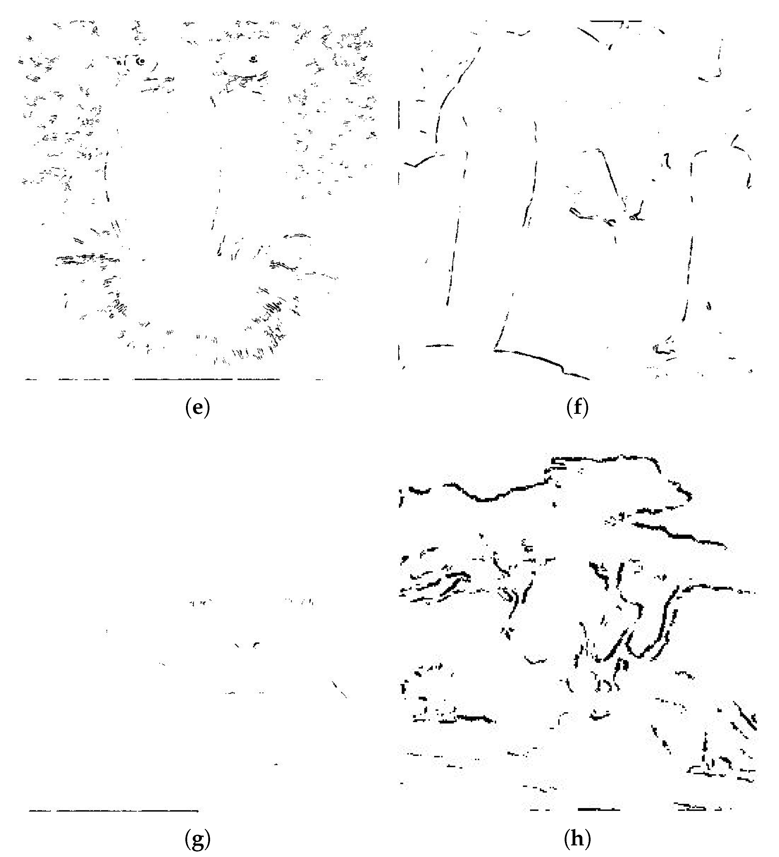 Symmetry 12 00781 g010b