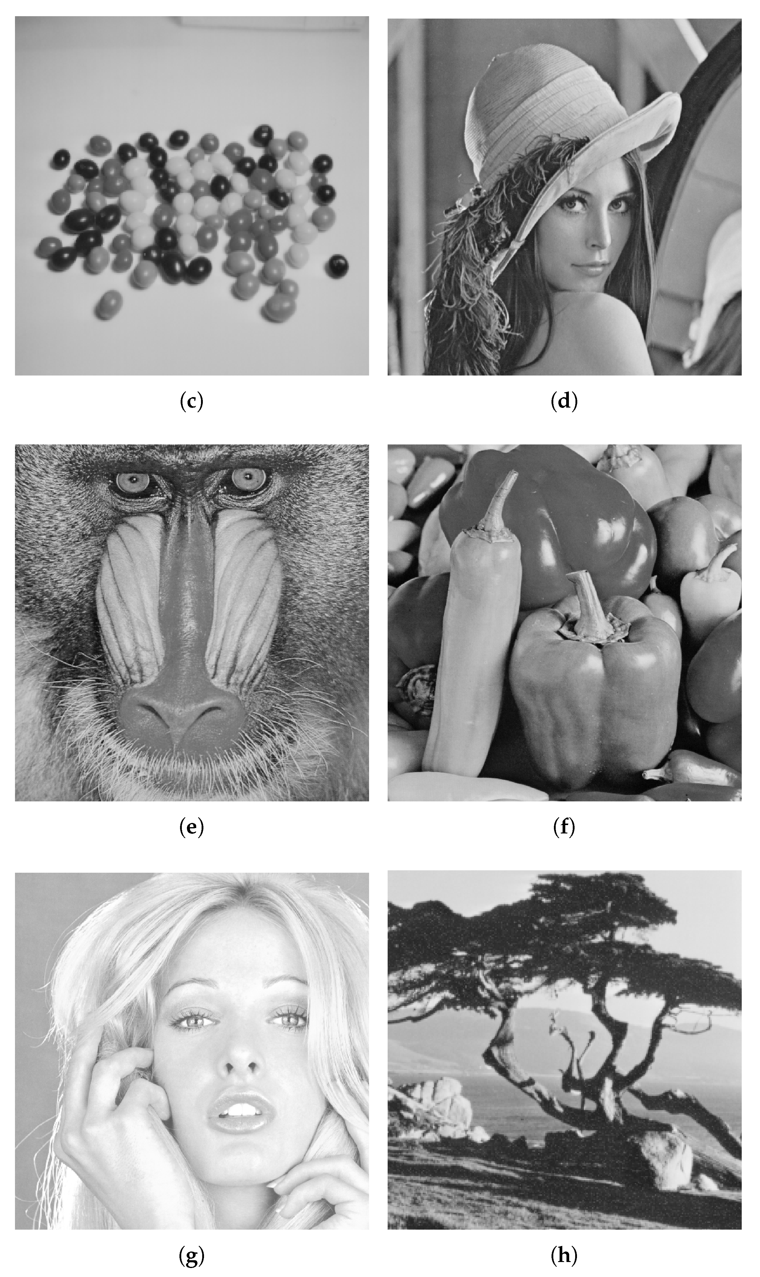 Symmetry 12 00781 g011b