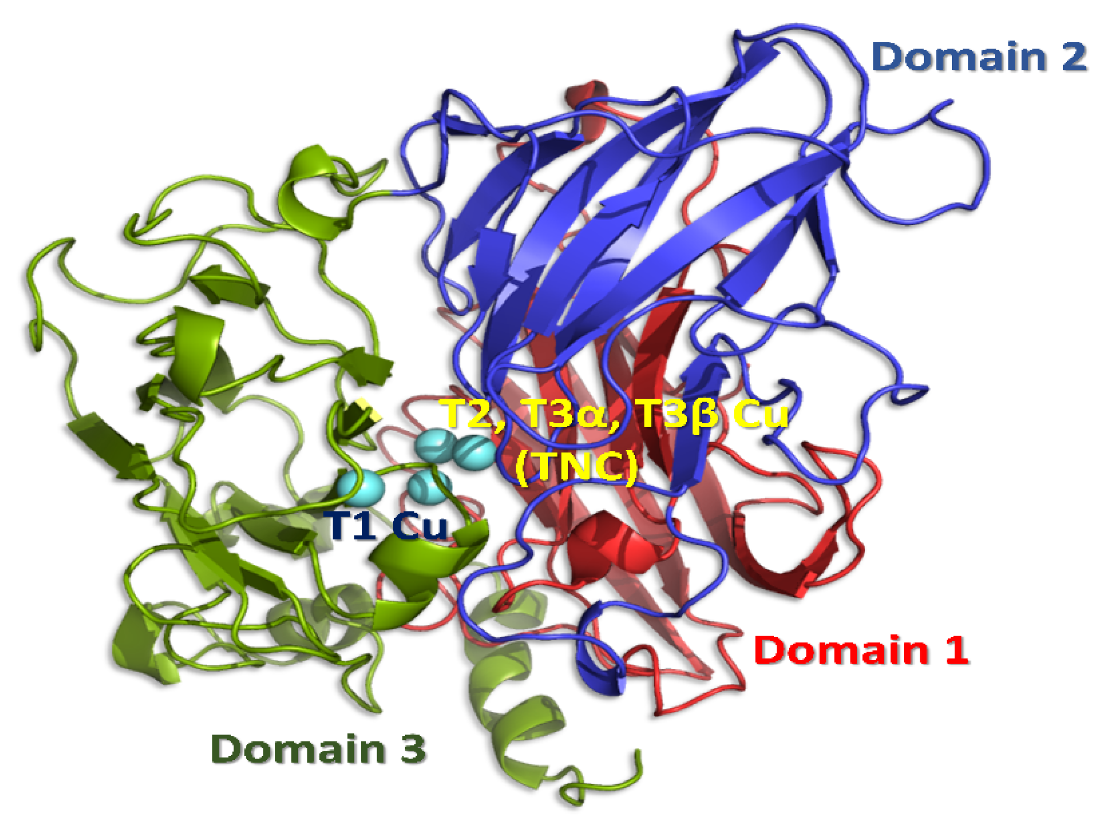 Symmetry 12 00797 g001 Symmetry 12 00797 g001