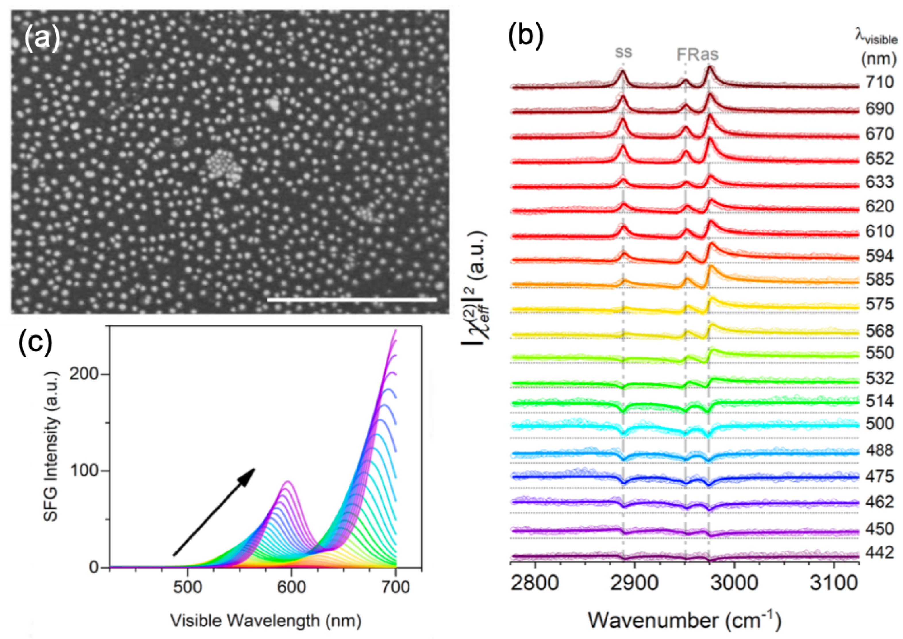 Symmetry 12 00896 g004 Symmetry 12 00896 g004