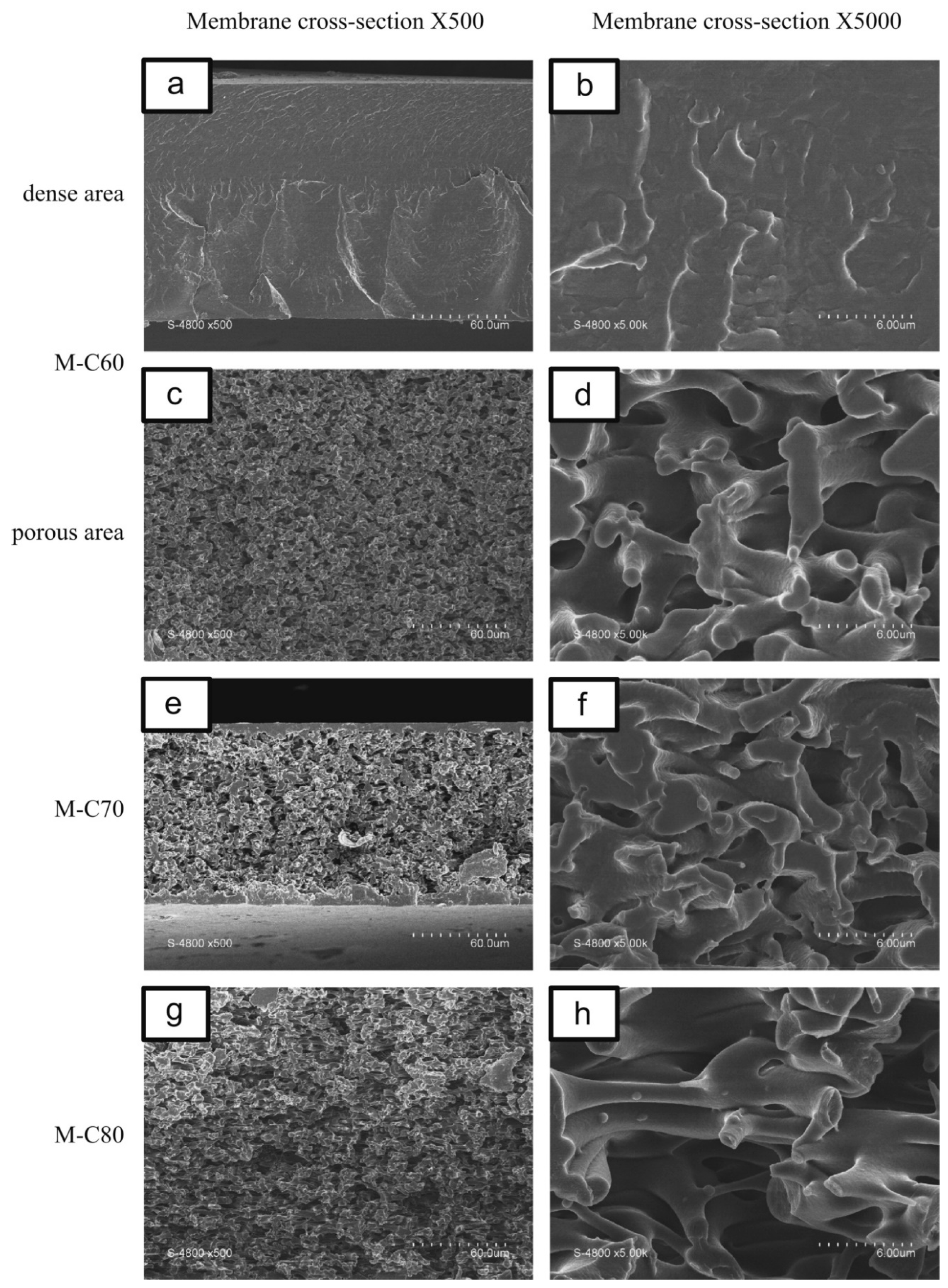 Symmetry 12 00960 g014 Symmetry 12 00960 g014