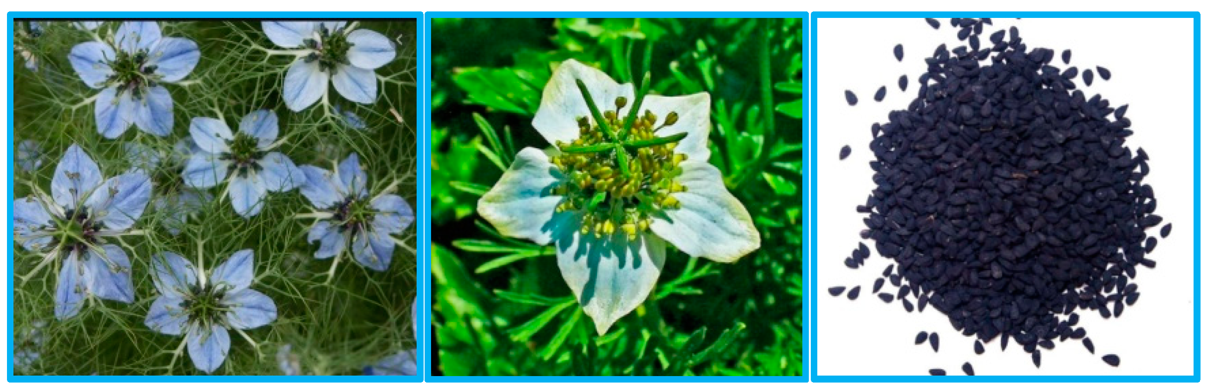 Symmetry 12 00961 g001 Symmetry 12 00961 g001