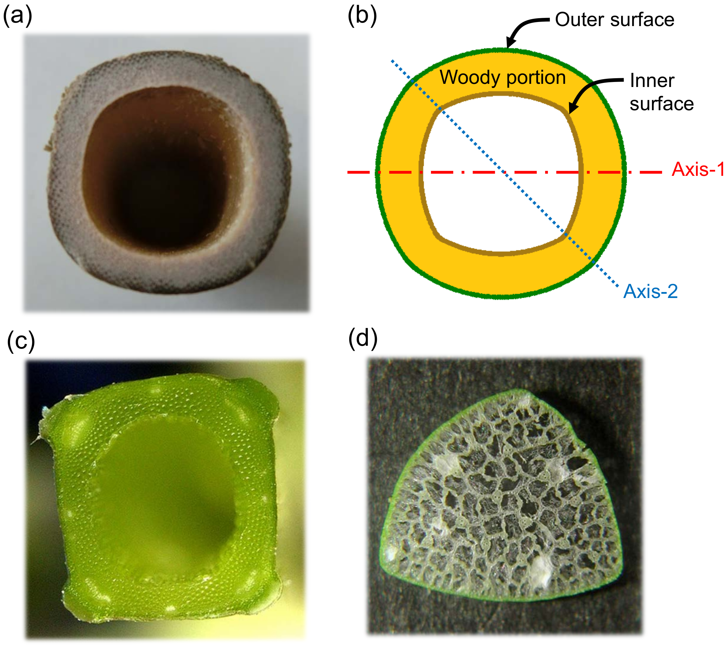 Symmetry 12 00996 g001