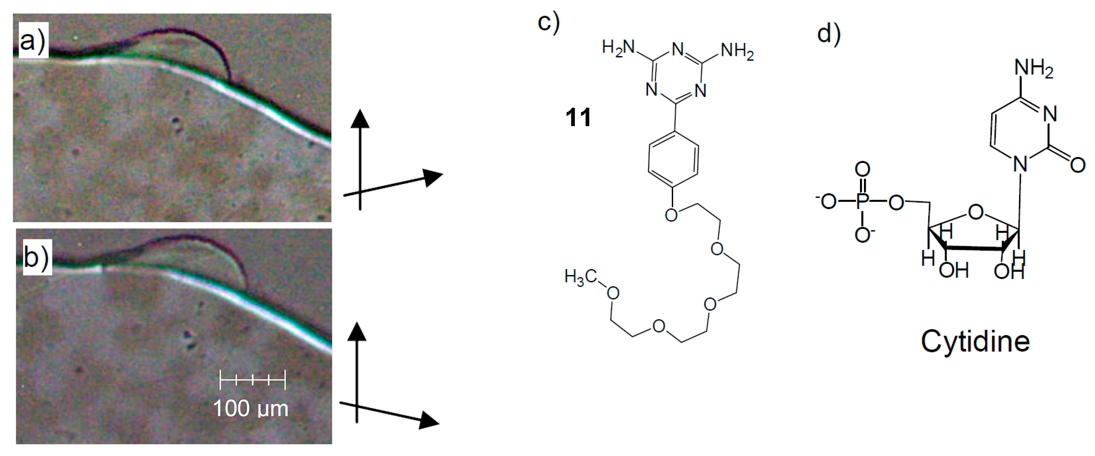 Symmetry 12 01098 g017
