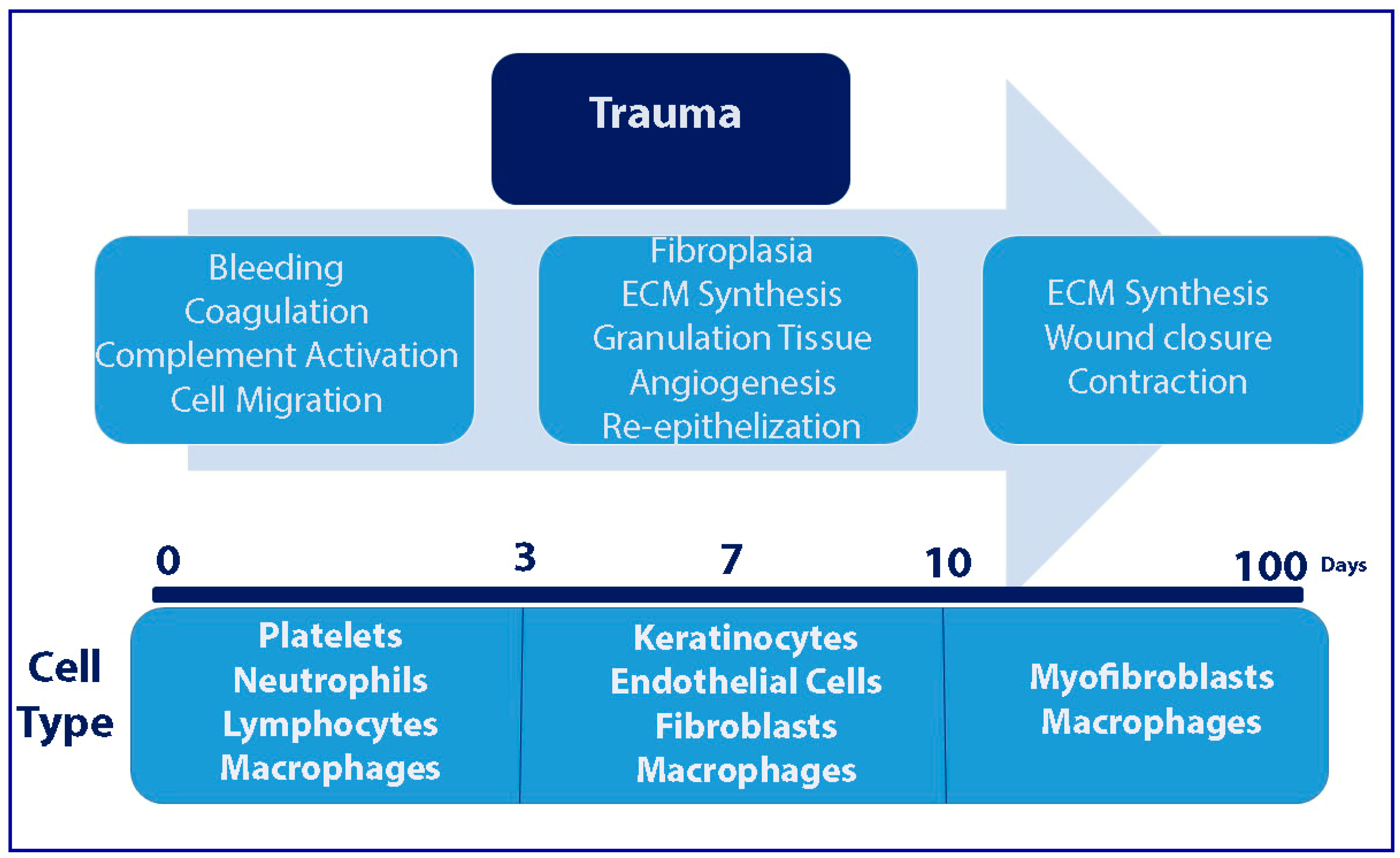 Symmetry 12 01100 g001