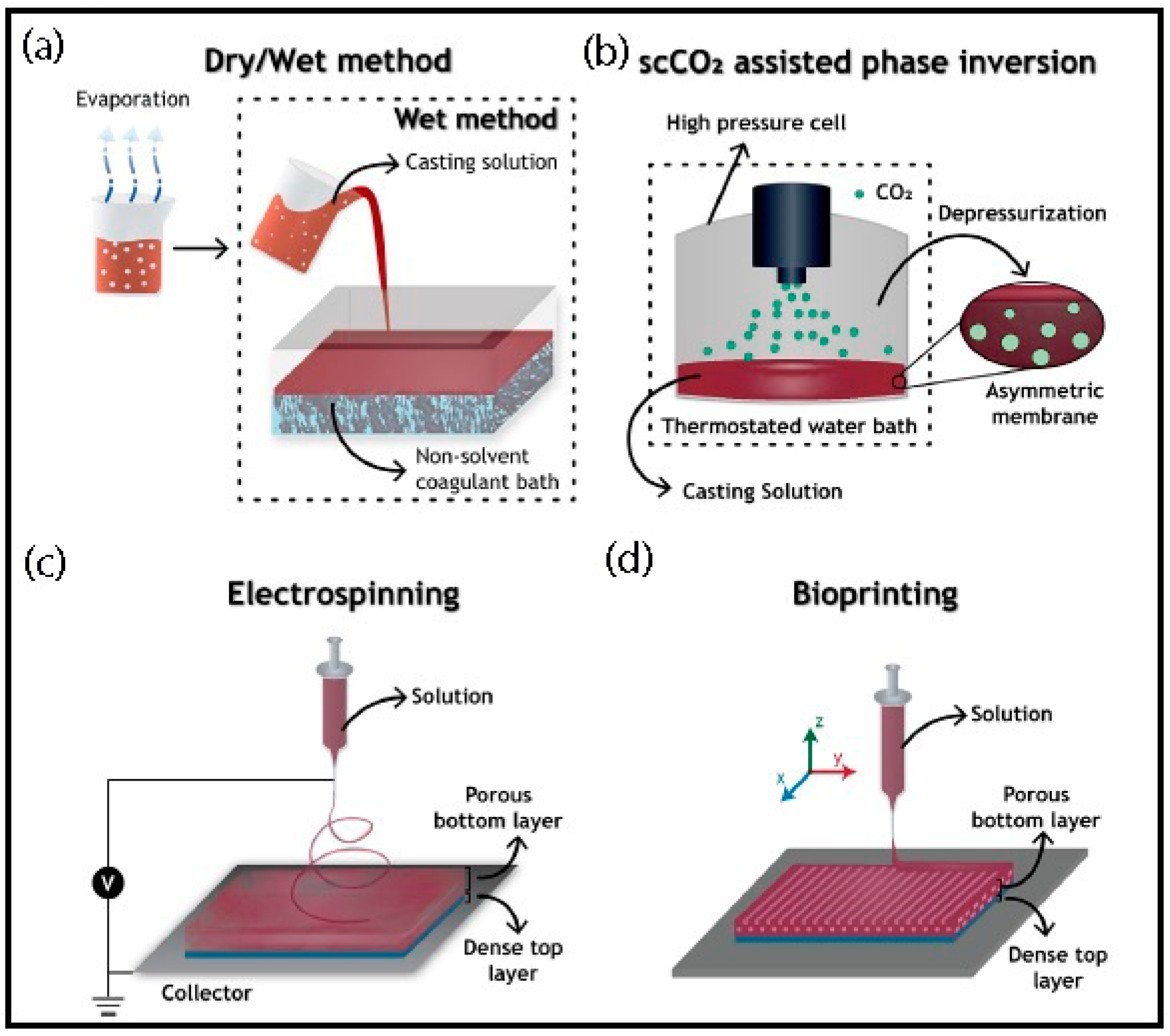 Symmetry 12 01100 g002