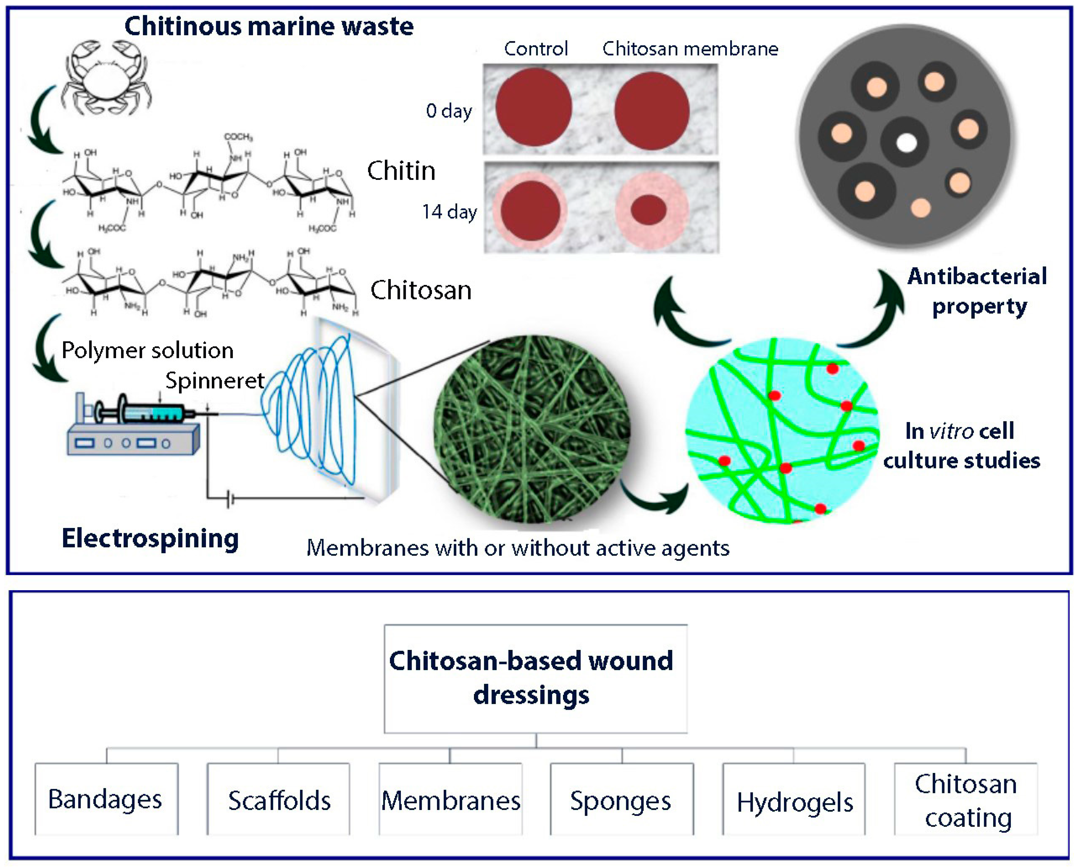 Symmetry 12 01100 g004