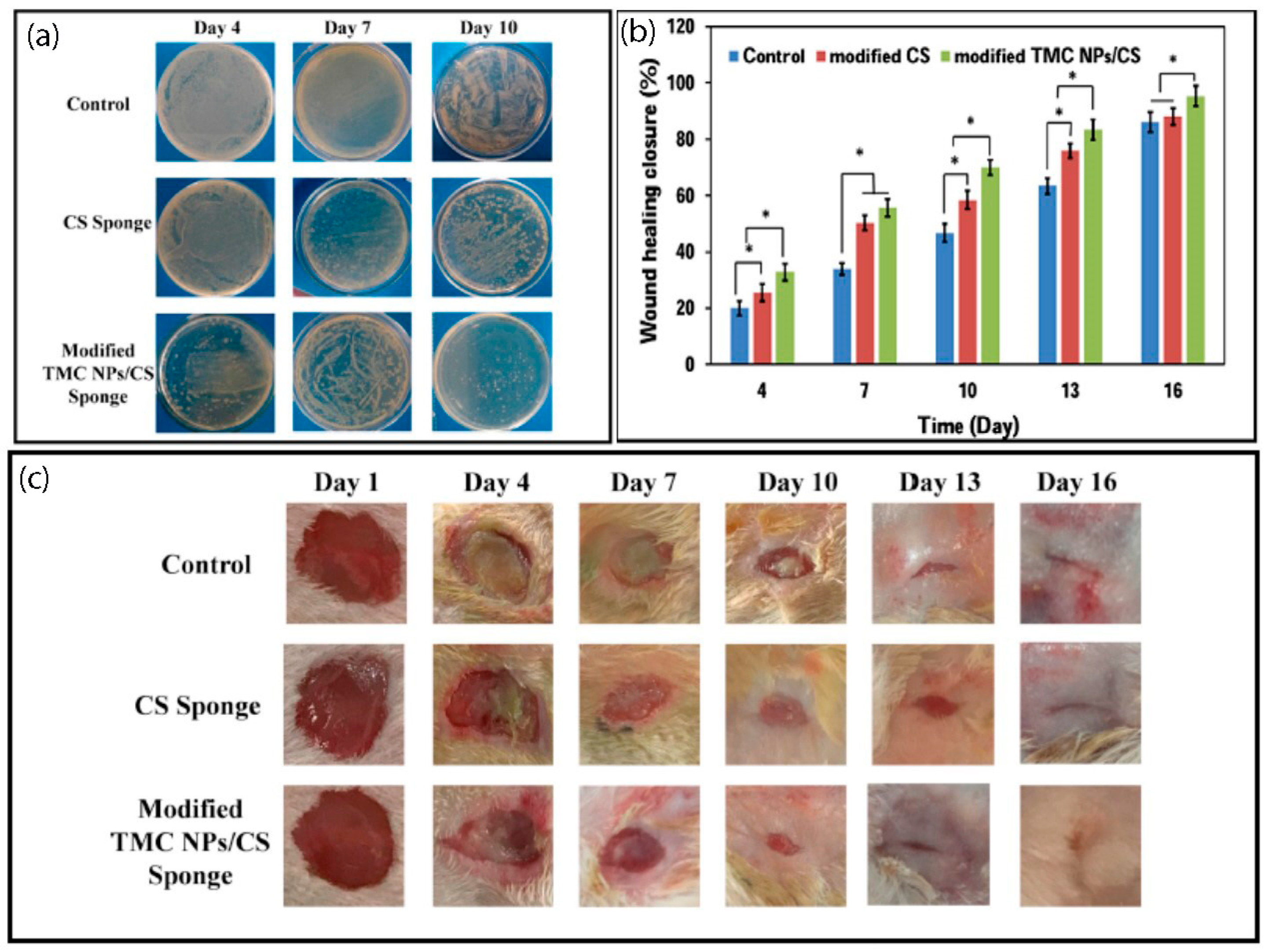 Symmetry 12 01100 g005