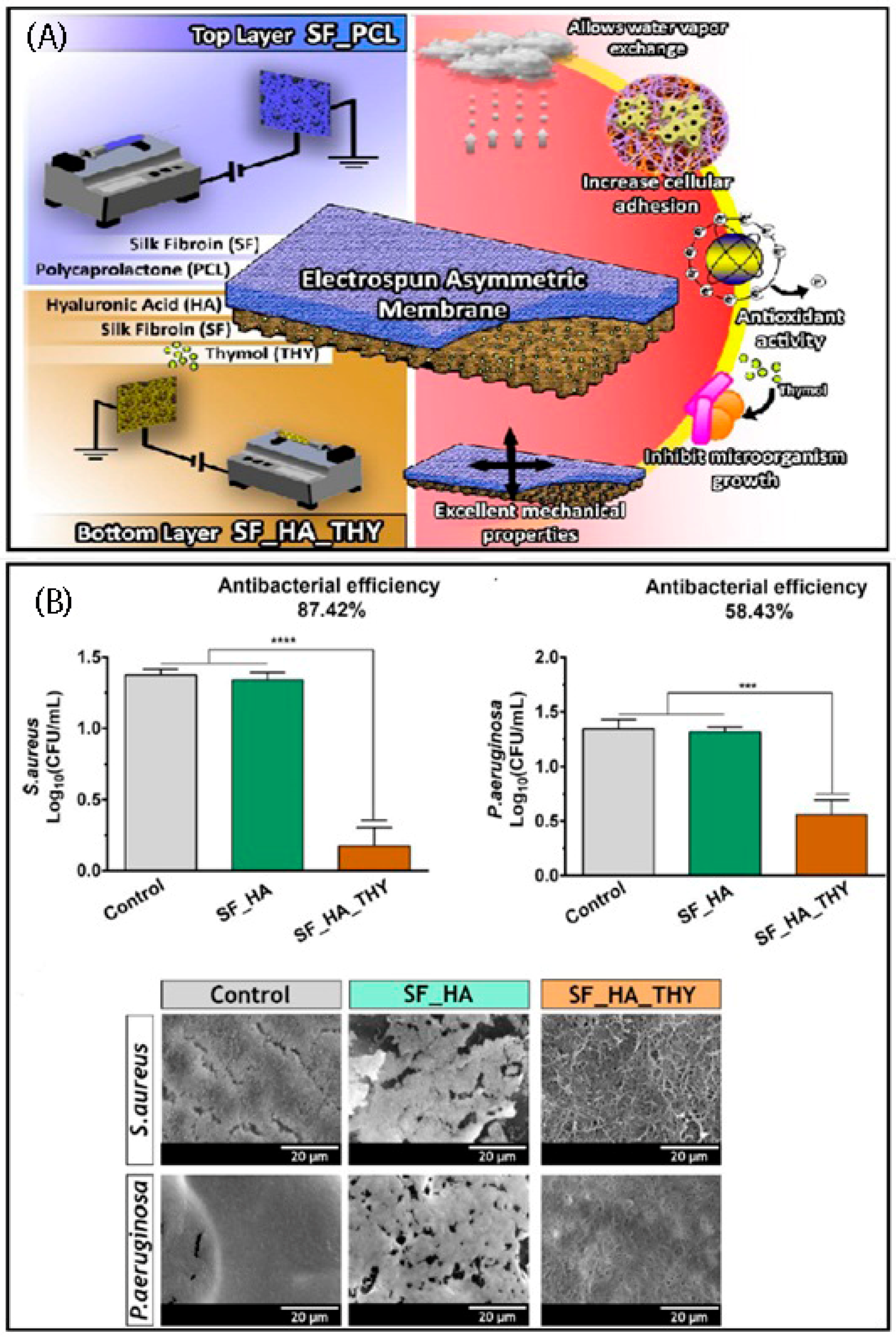 Symmetry 12 01100 g007