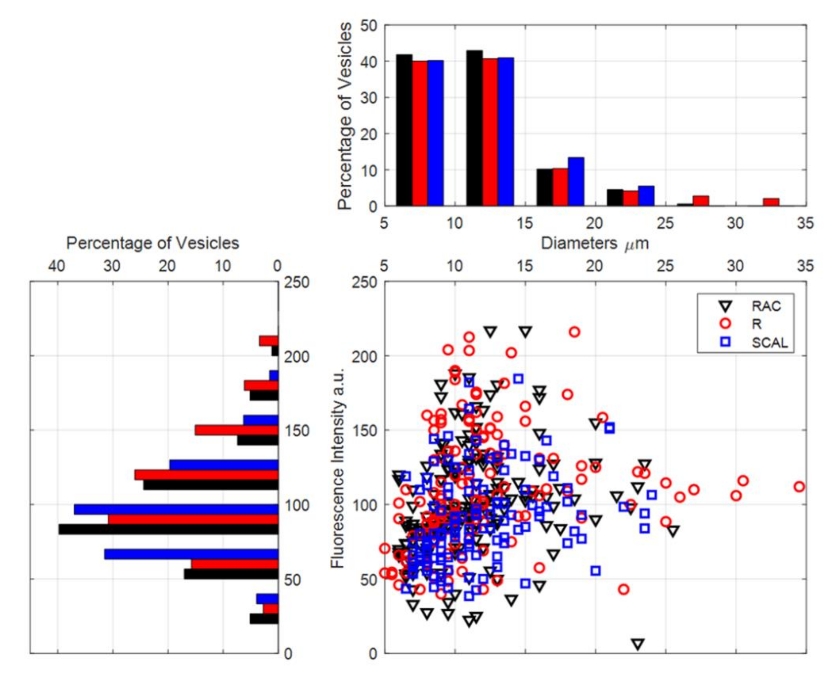 Symmetry 12 01108 g003