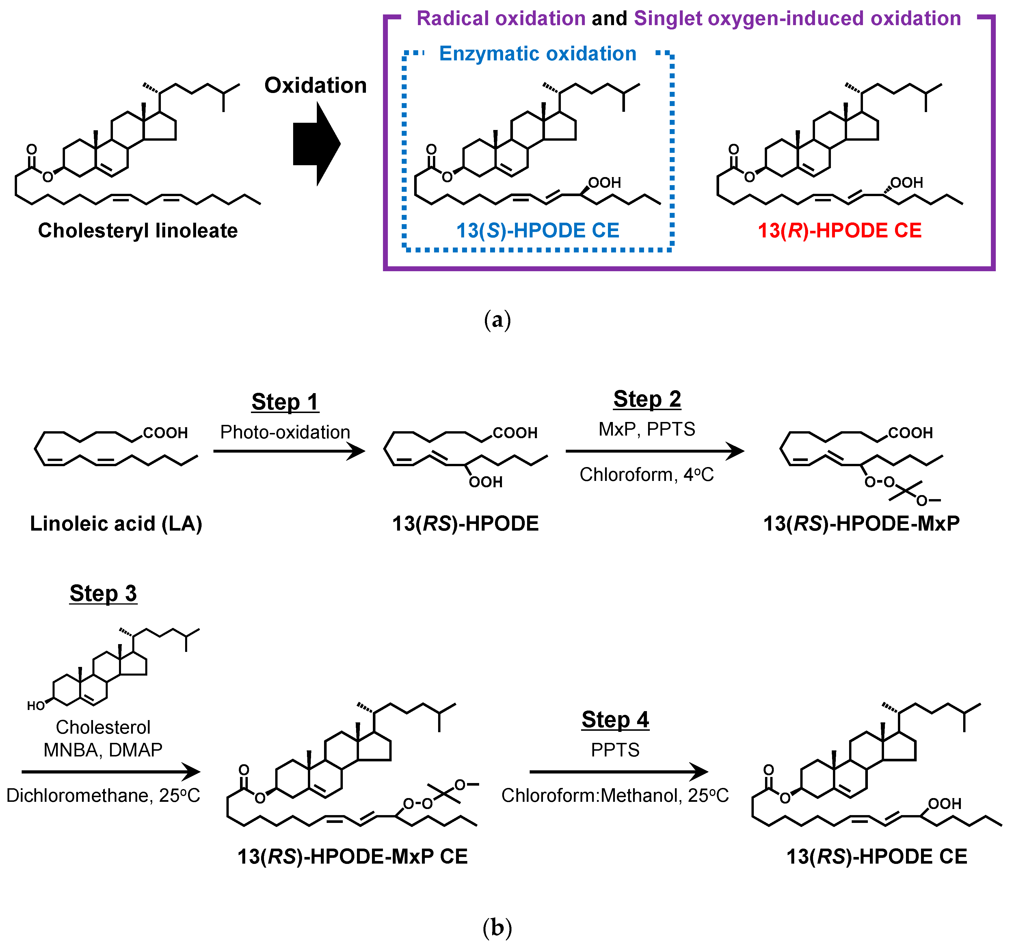 Symmetry 12 01127 g001